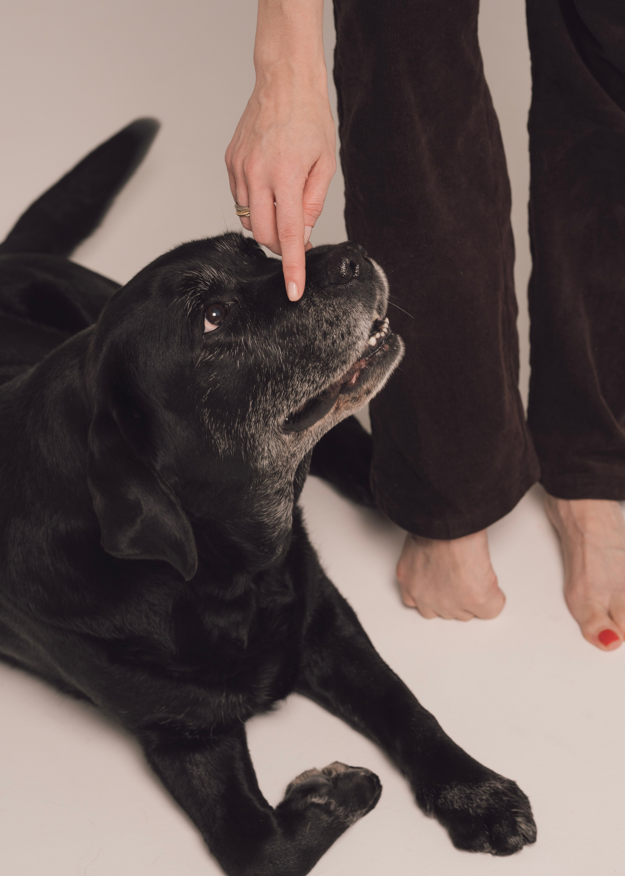 Бэста. Фотограф- анималист Александра Матвеева