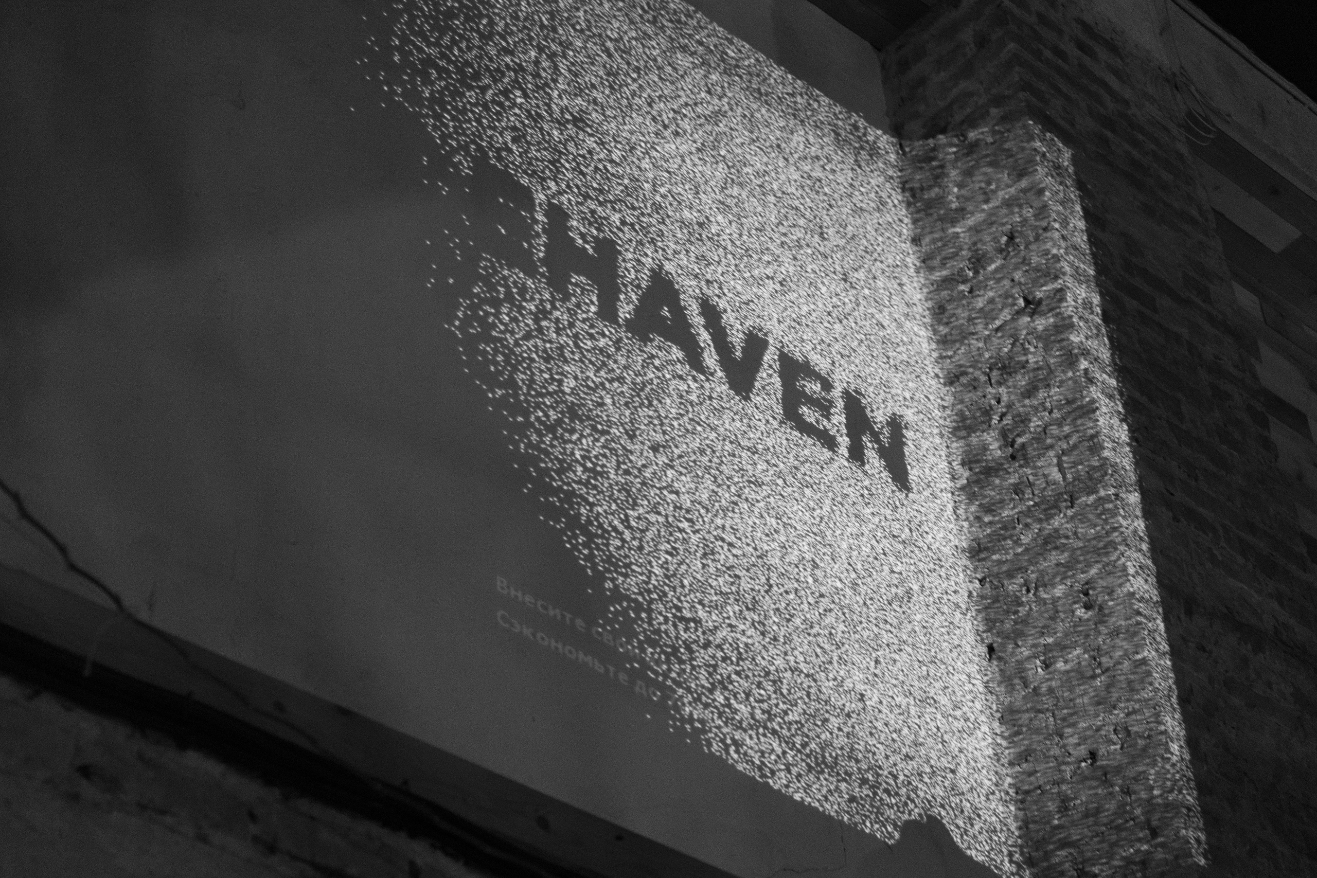 WY: AI — АЕ — 19:00 — 09.02.2025. KiPPER Gallery — Фотограф