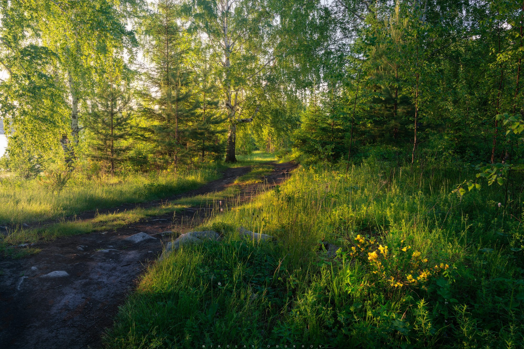 Летние пейзажи Черноисточинска | Фотограф Николай Обухов