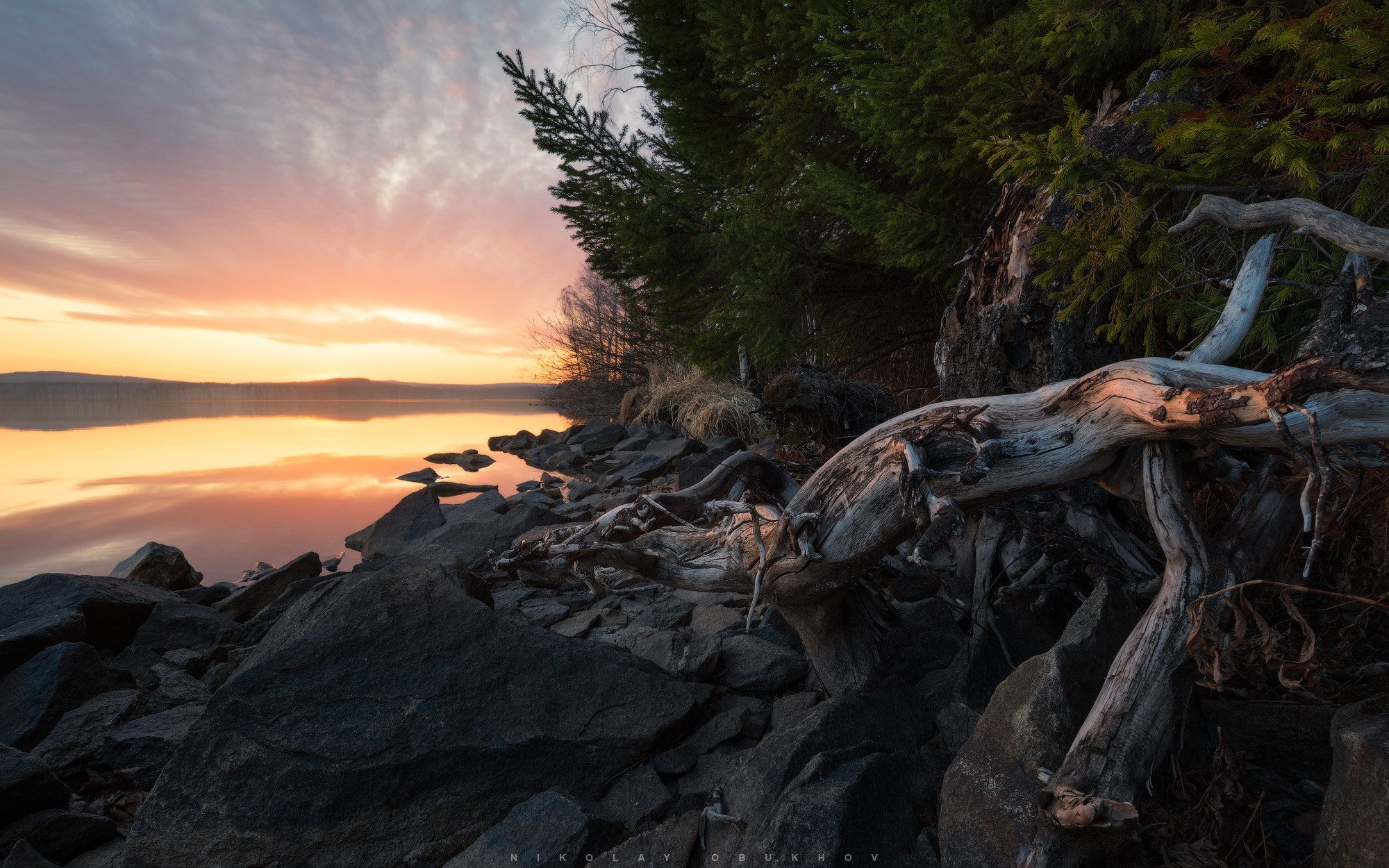 Природный пейзаж: фото берега озера, коряга и теплый закатный свет.