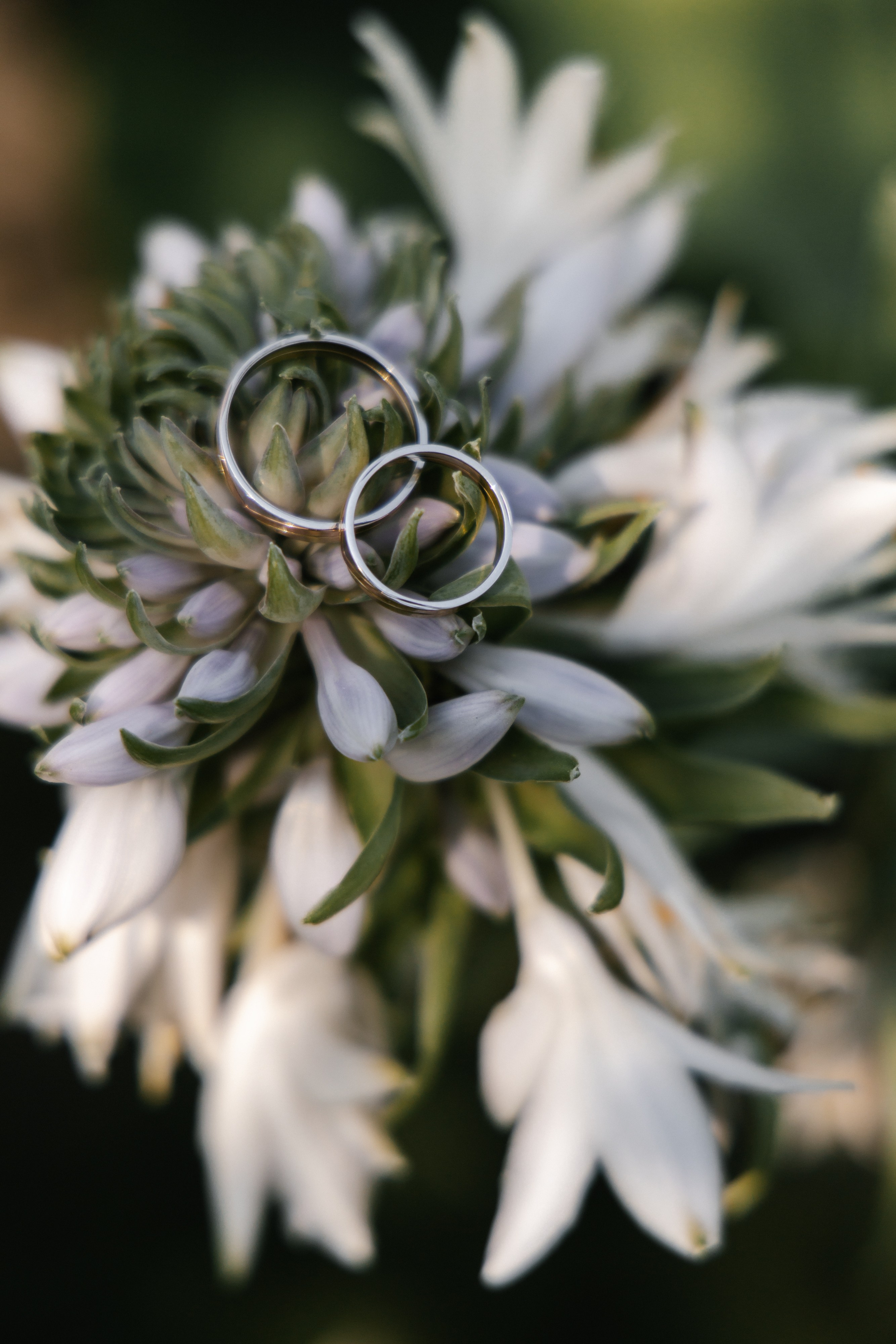 Алёна и Денис (полный день). Фотограф в Барнауле Юлия Садвокасова