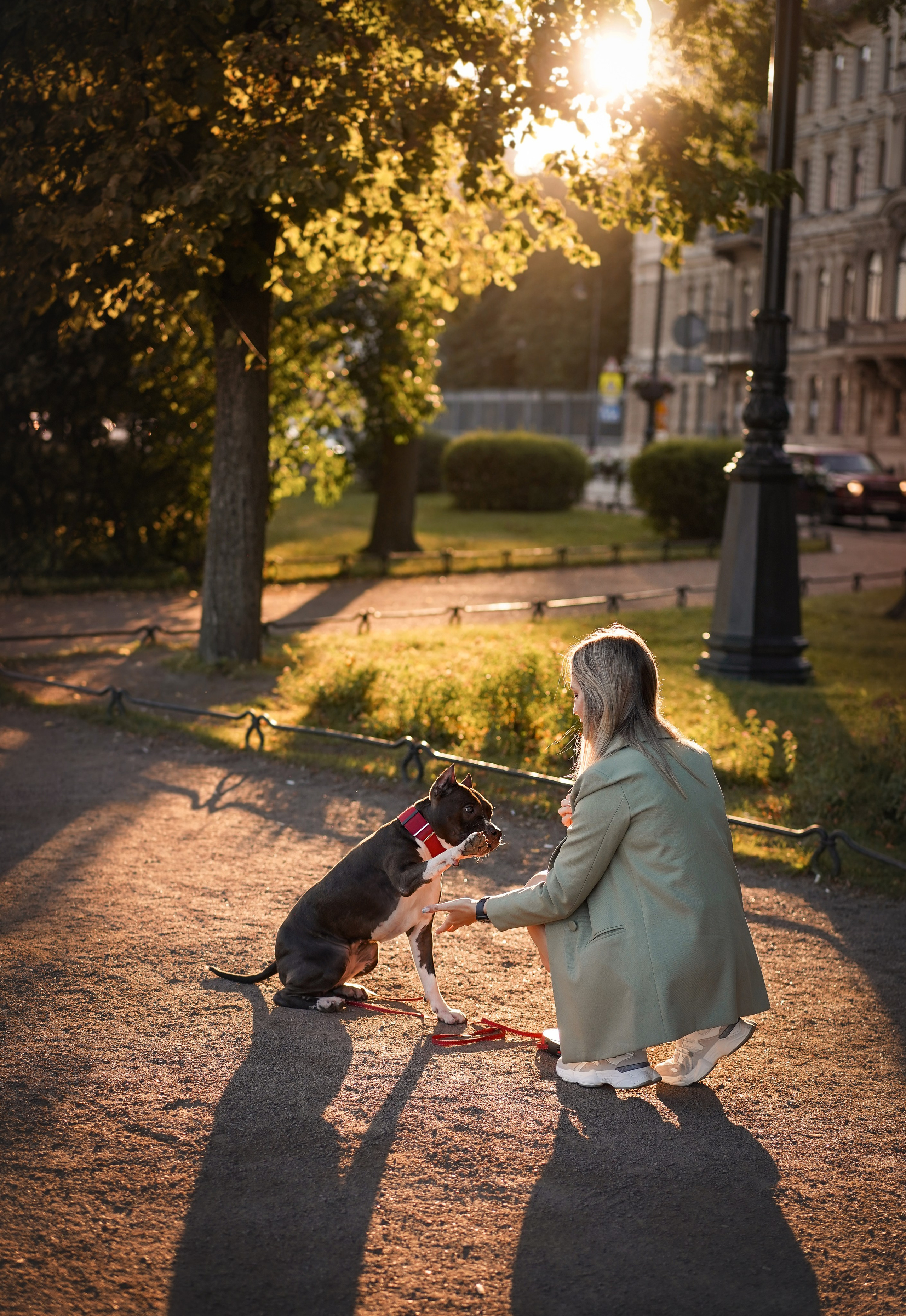 Аня Терентий и Кайли. Фотограф-анималист в Санкт-Петербурге Яна Мартынова