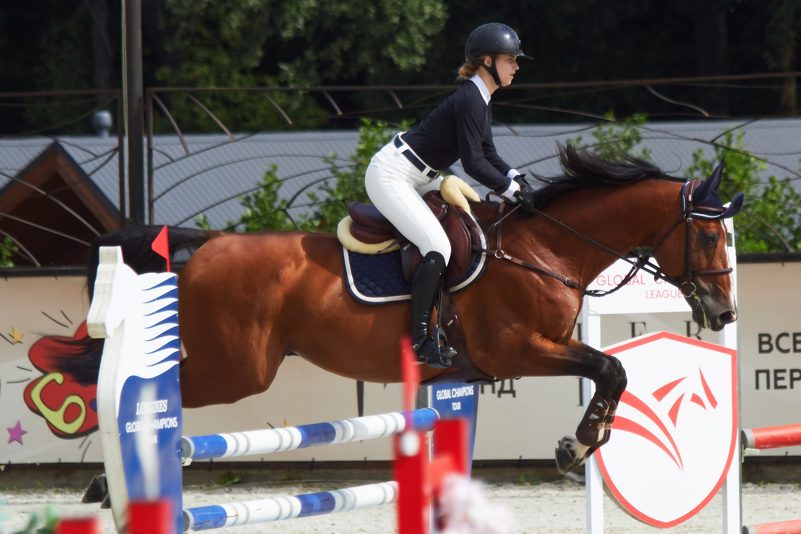 Конкур в «Виват, Россия». Фотограф анималист — Тула, Москва