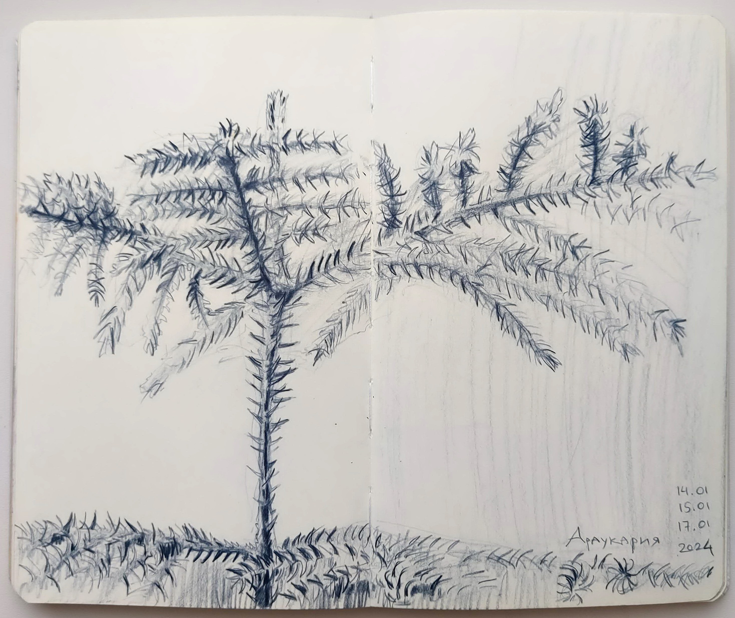 Quick Sketches. Alexander Manaenkov | Watercolor Artist from Siberia