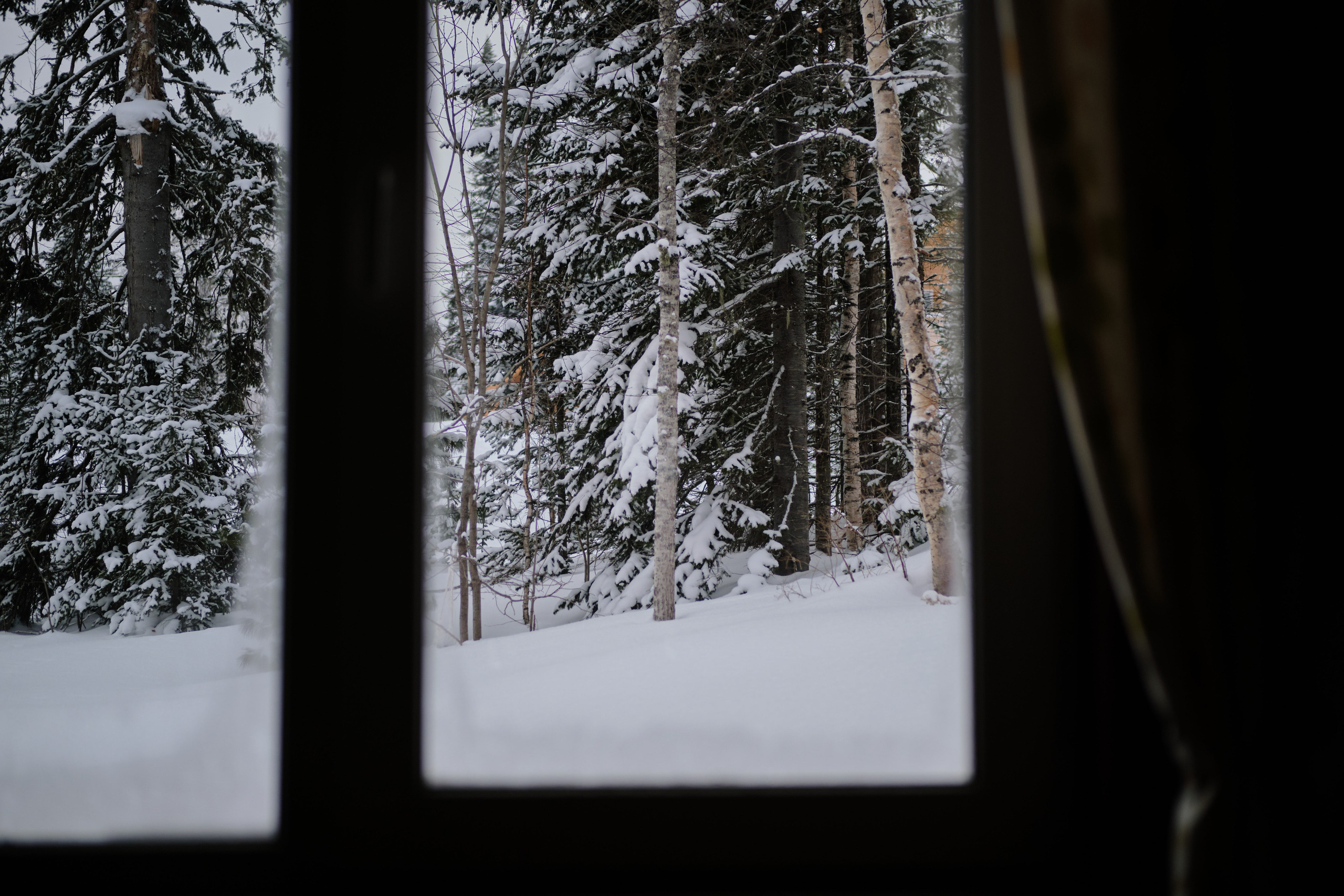 Цветочная ½. Свадебный и семейный фотограф в Новокузнецке Иван Иванов