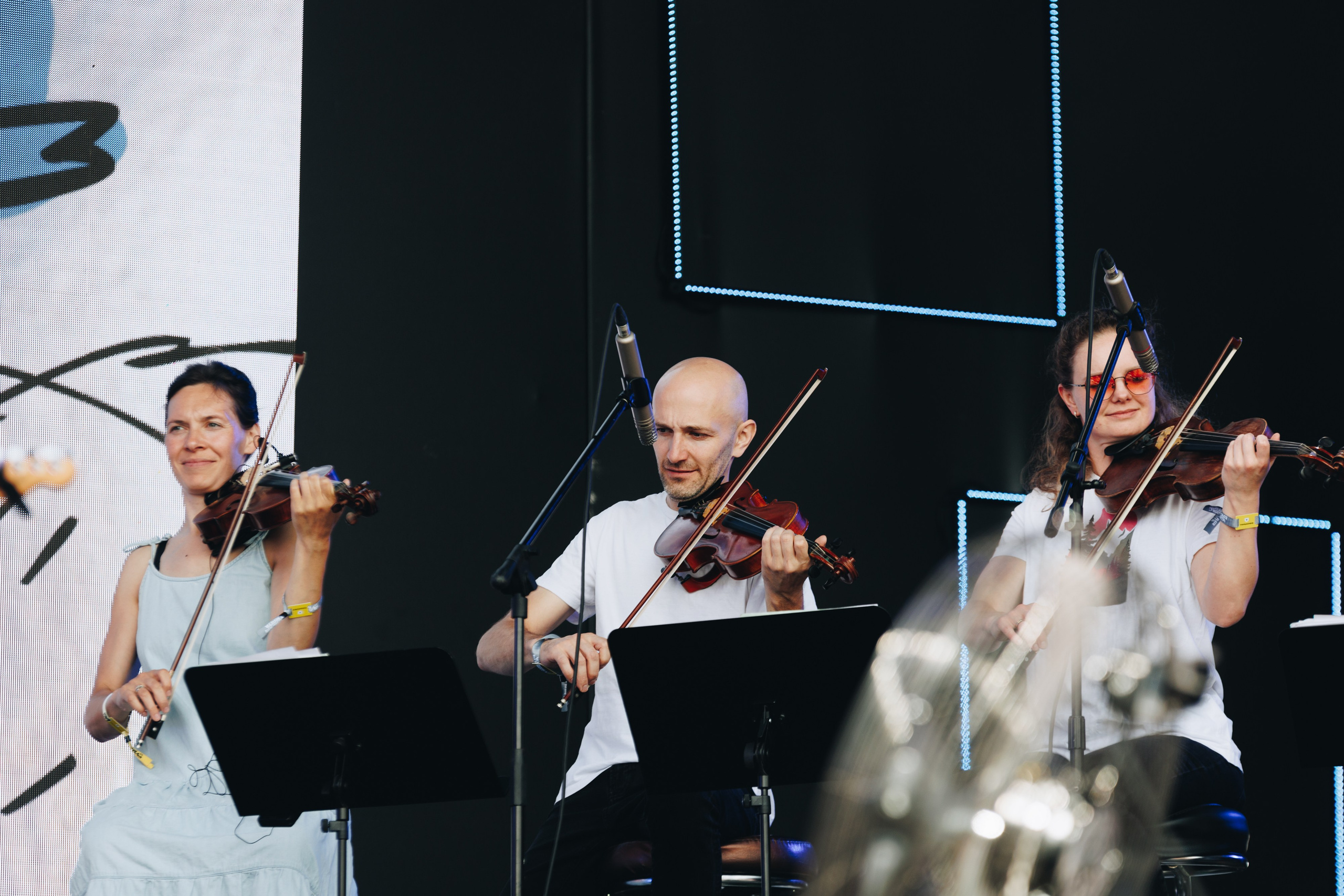 ДИКАЯ МЯТА 14-16.06.24. Концертный и репортажный фотограф в Москве и Санкт-Петербурге Мария