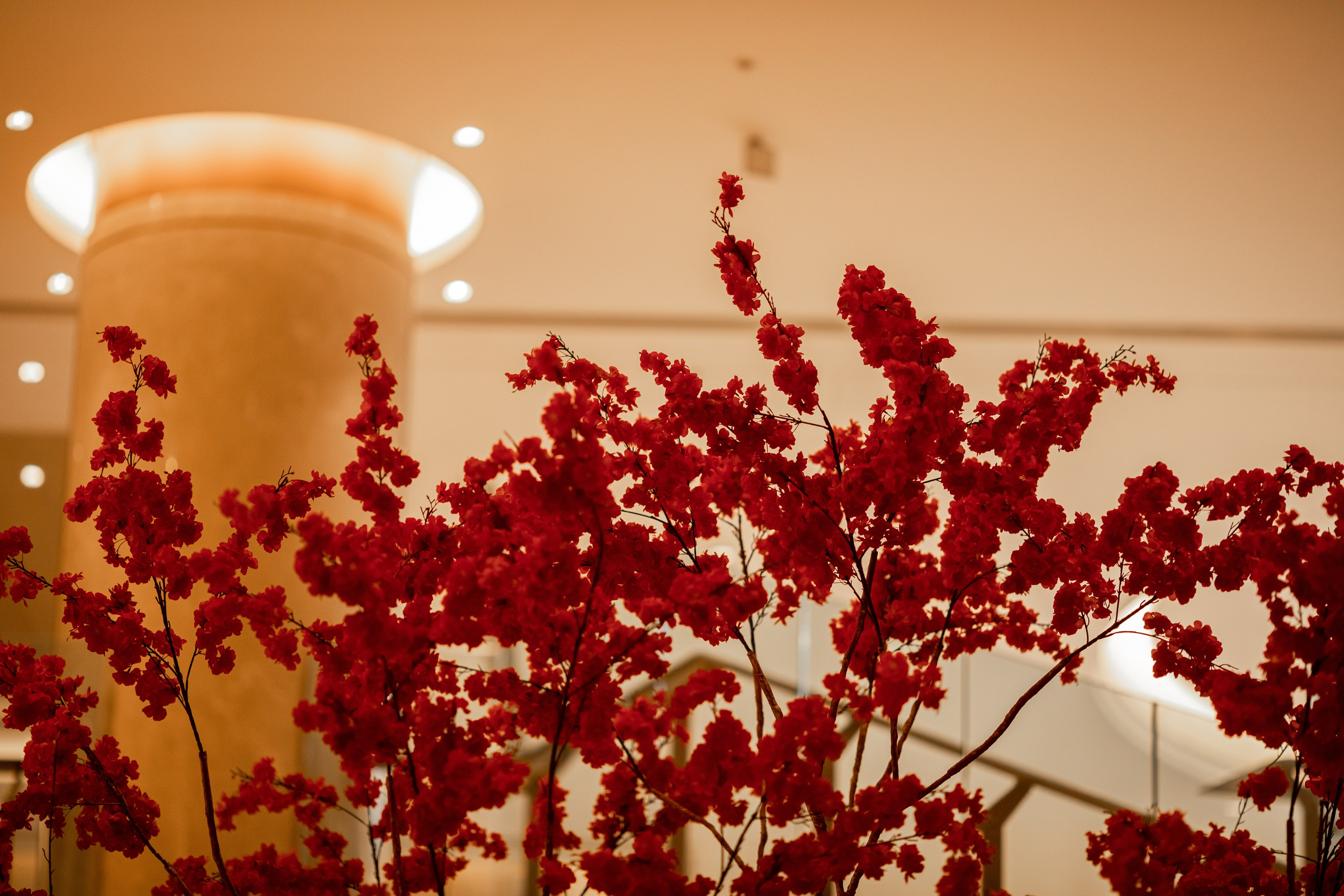 АВТОБОСС | Международный Итоговый Клуб 2023 | Россия и Китай. Фотограф брендов и бизнеса в Москве Алексей Сентюрин