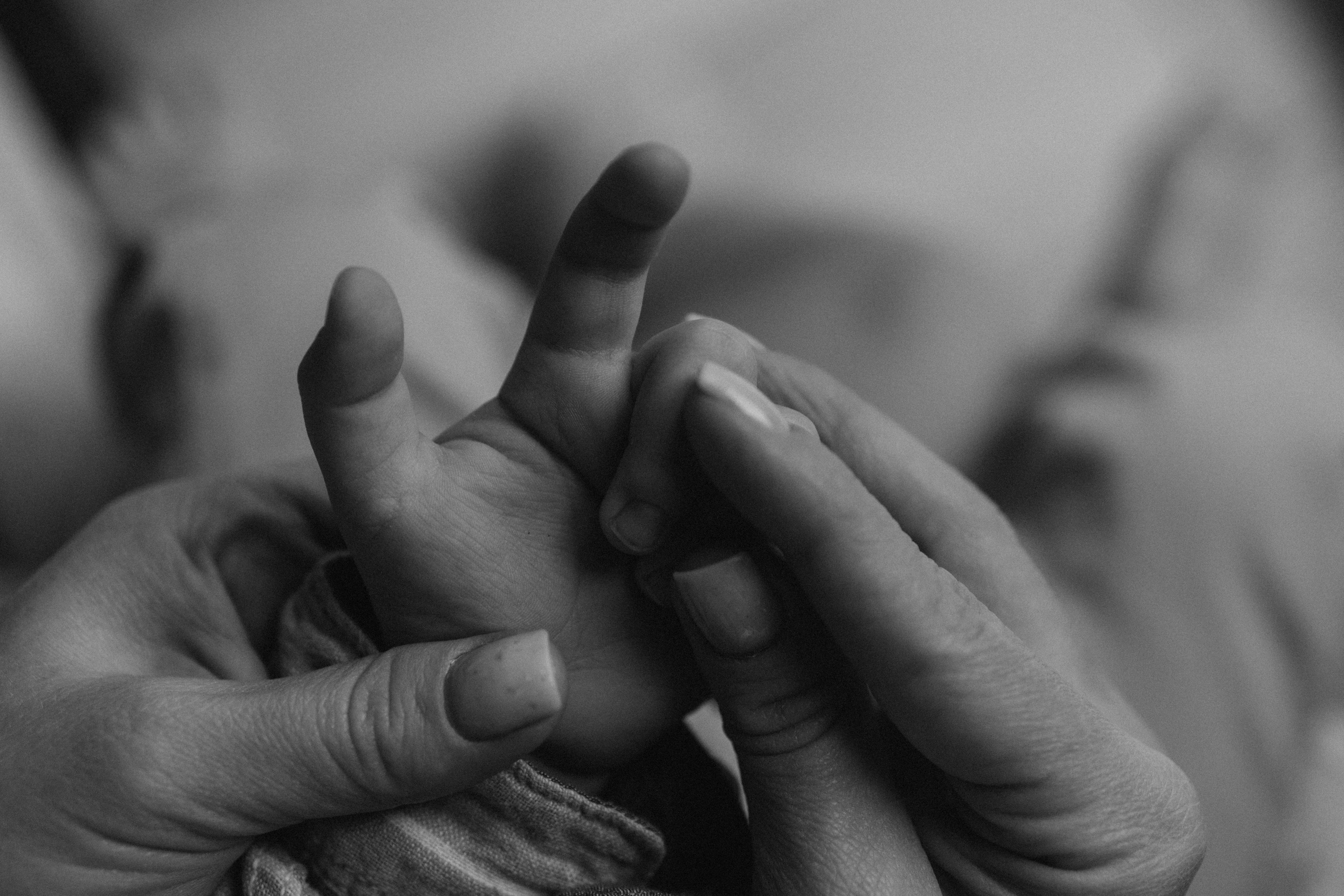 Домашние. Семейный и женский фотограф в Москве Коновалова Олеся