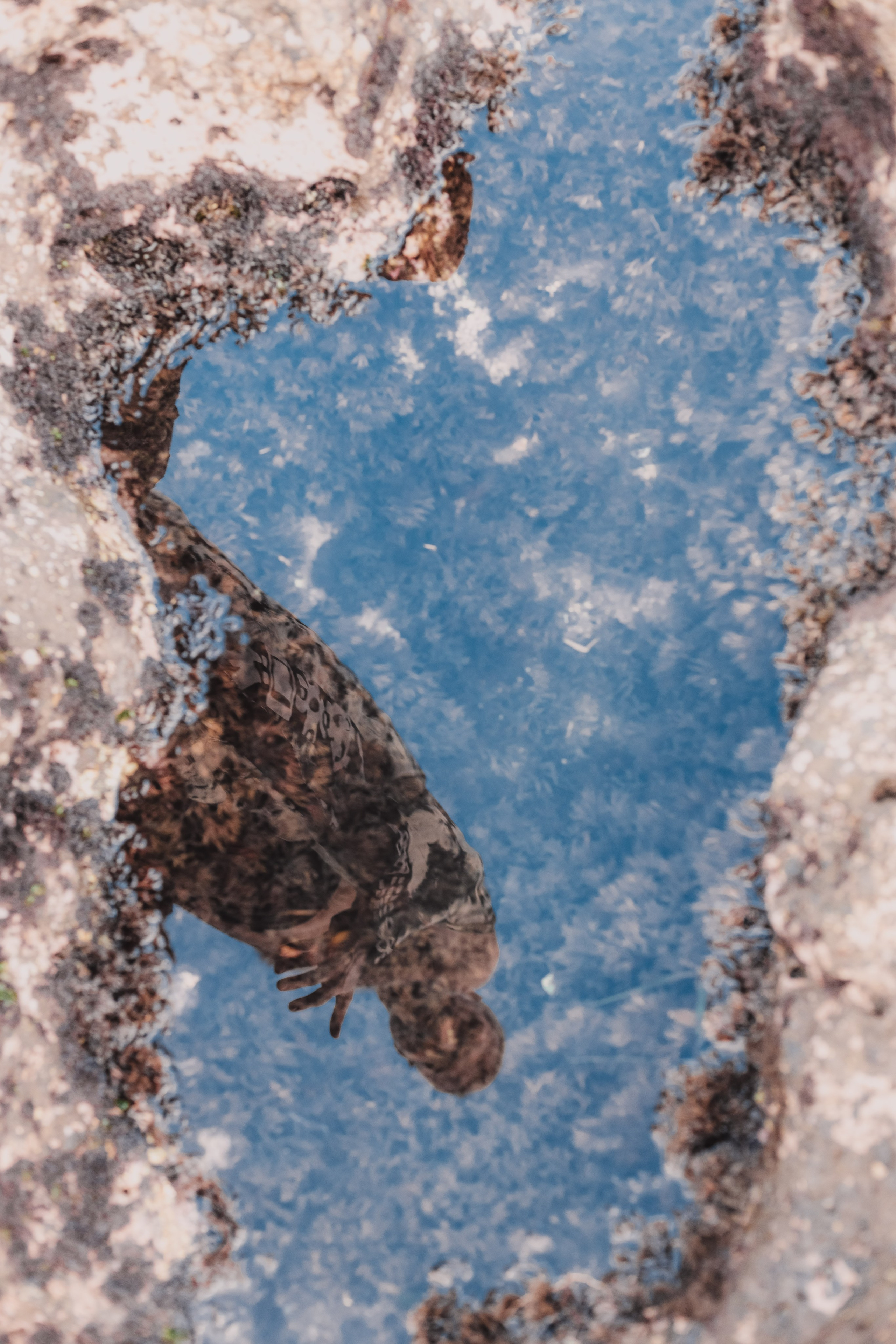 Aleksandr and power. Mariam Bagdasaryan