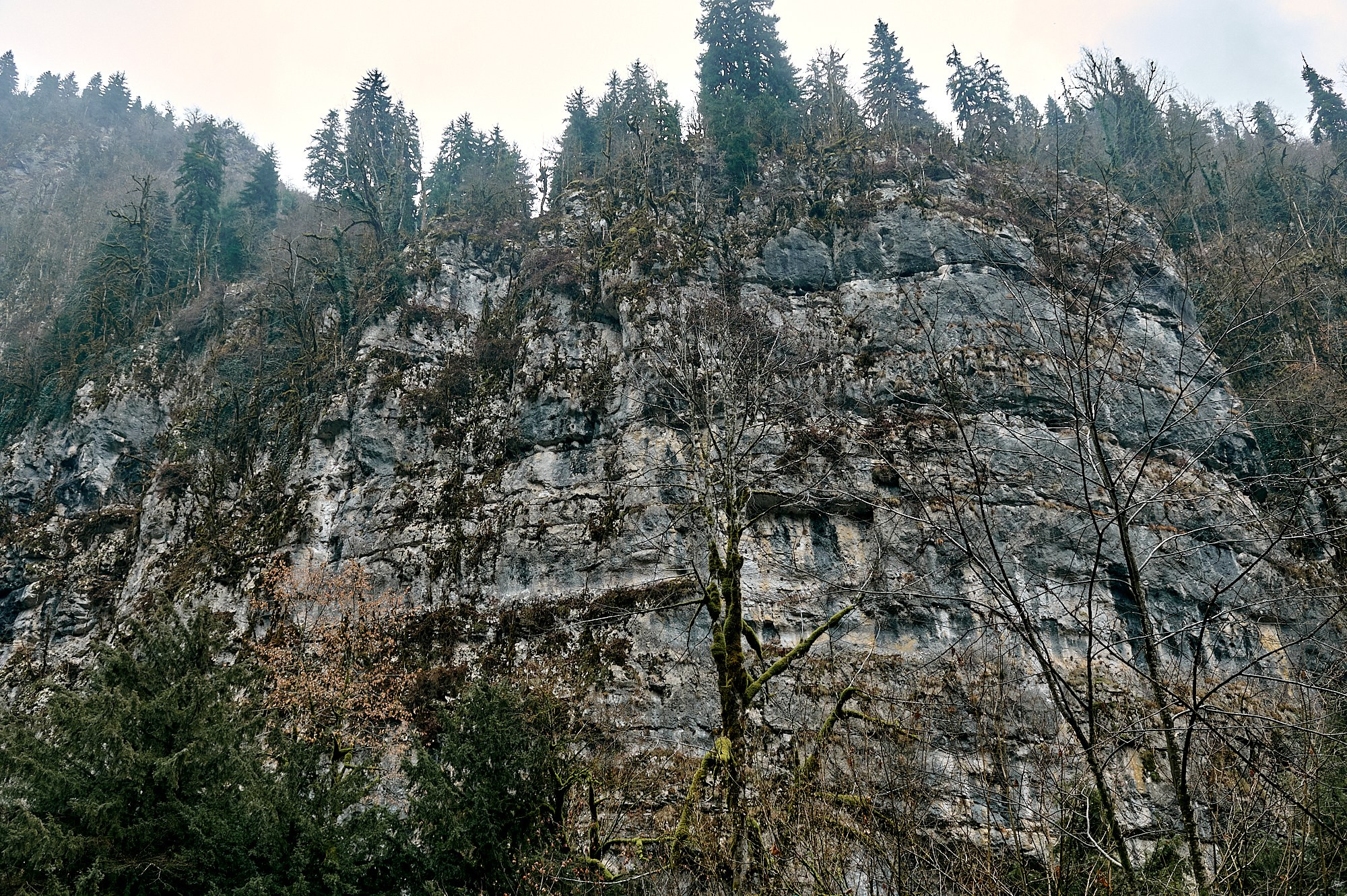 Озеро Рица, Абхазия. Декабрь 2024. Фотографии отовсюду и обо всем