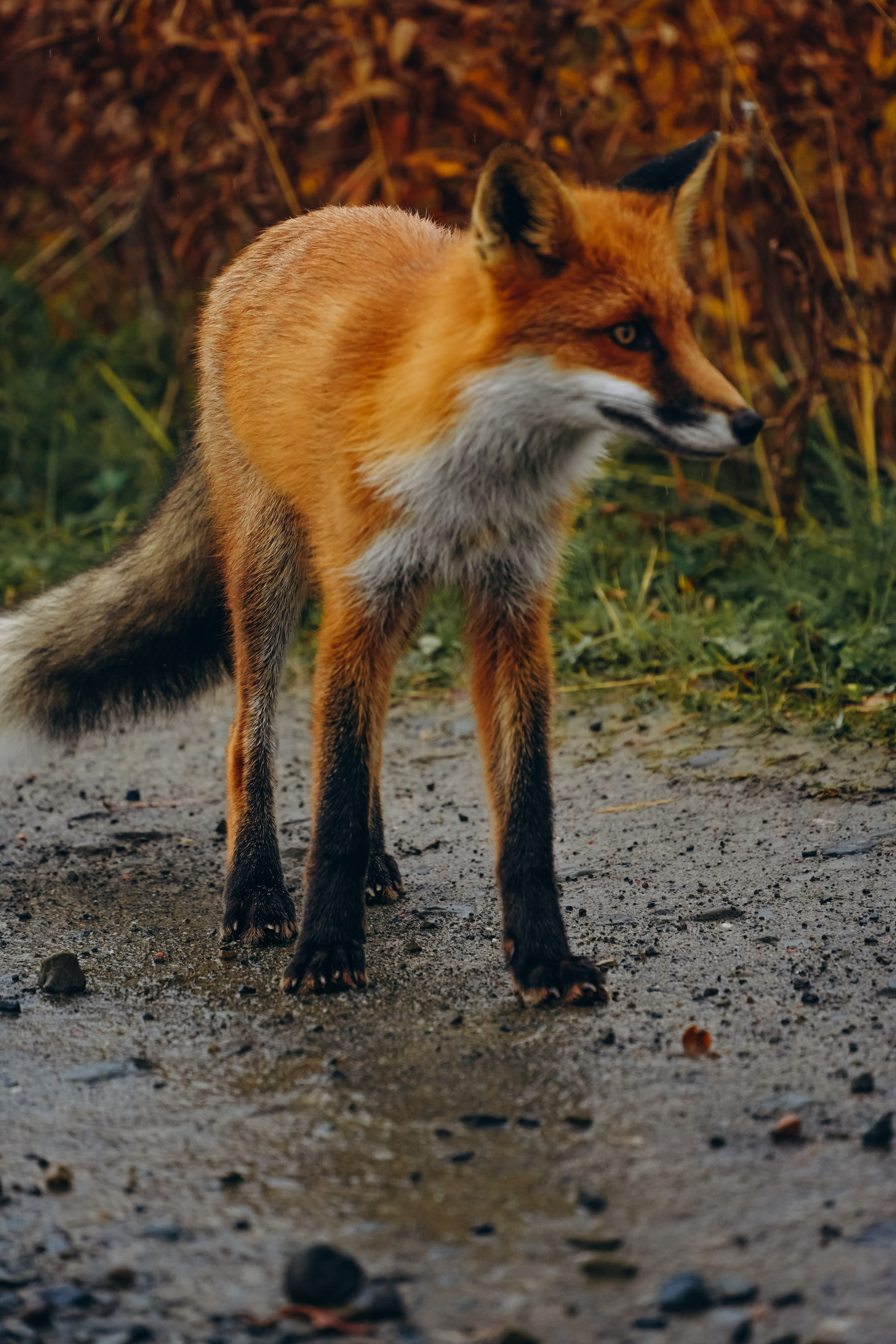 СЕВЕР. Event фотограф Степанова Александра