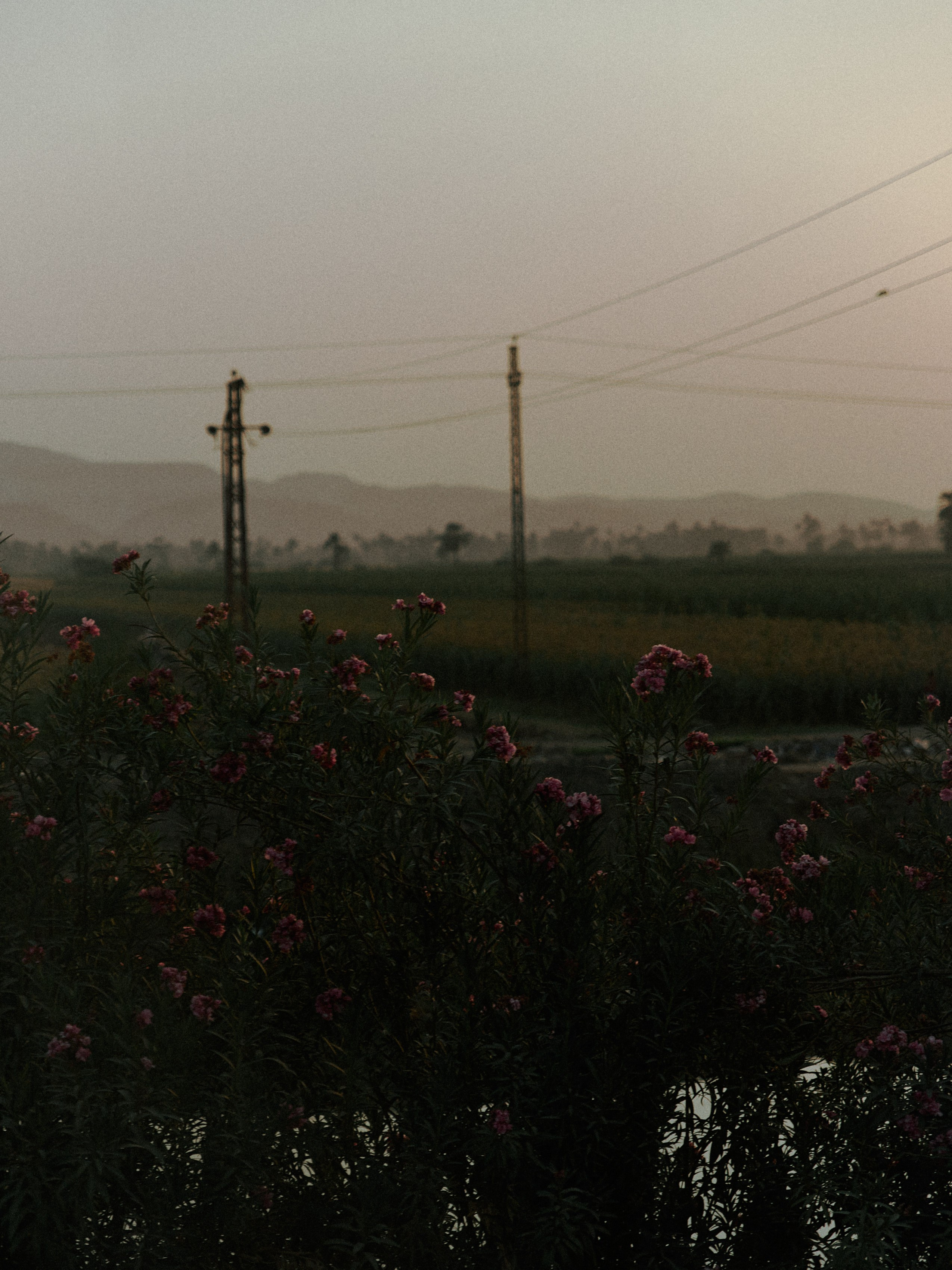 Диптих. Jorgis — фотограф в Хургаде / обучение фотографии