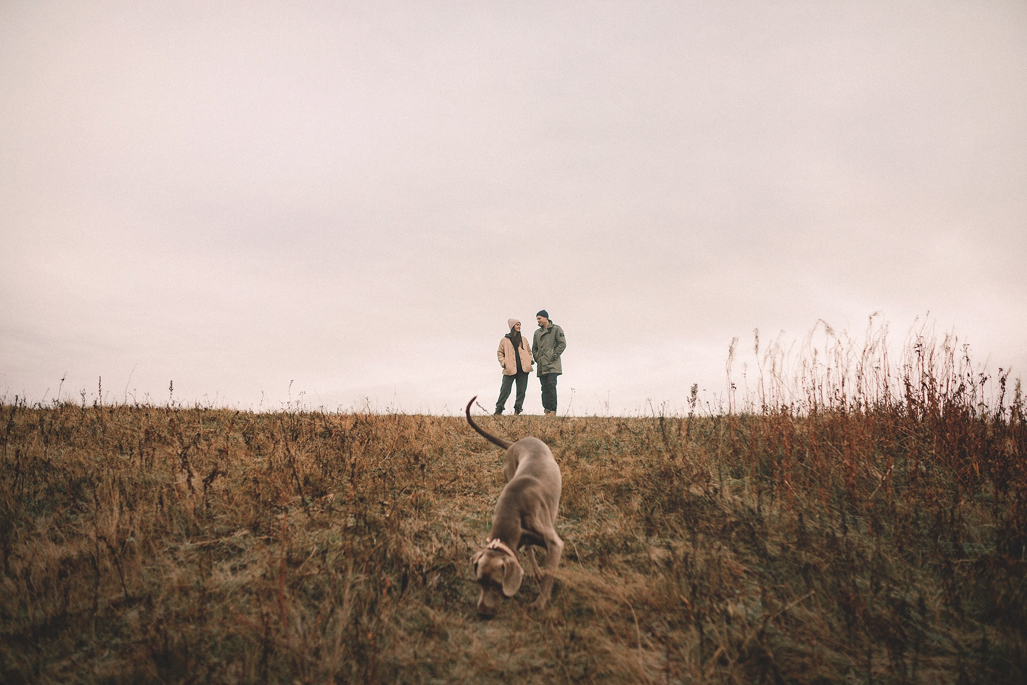 Элай и ребята. Фотограф-анималист • love-story • Санкт-Петербург
