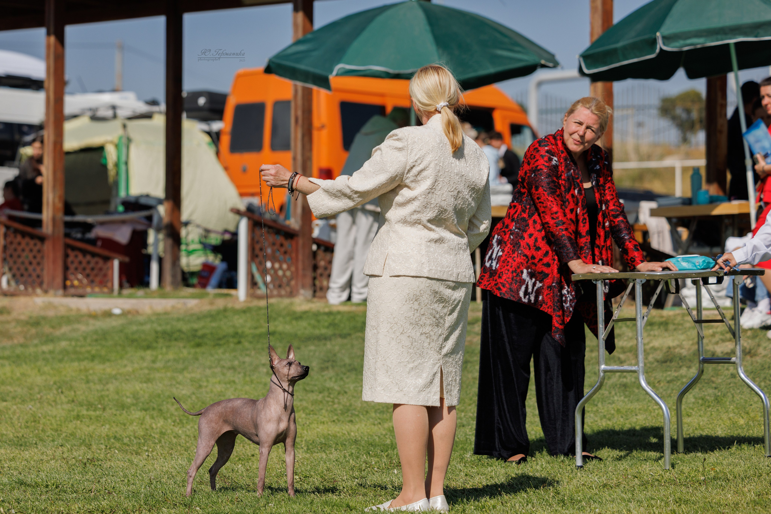 Ереван 14-16.10.2025. Фотограф-анималист Юлия Германика