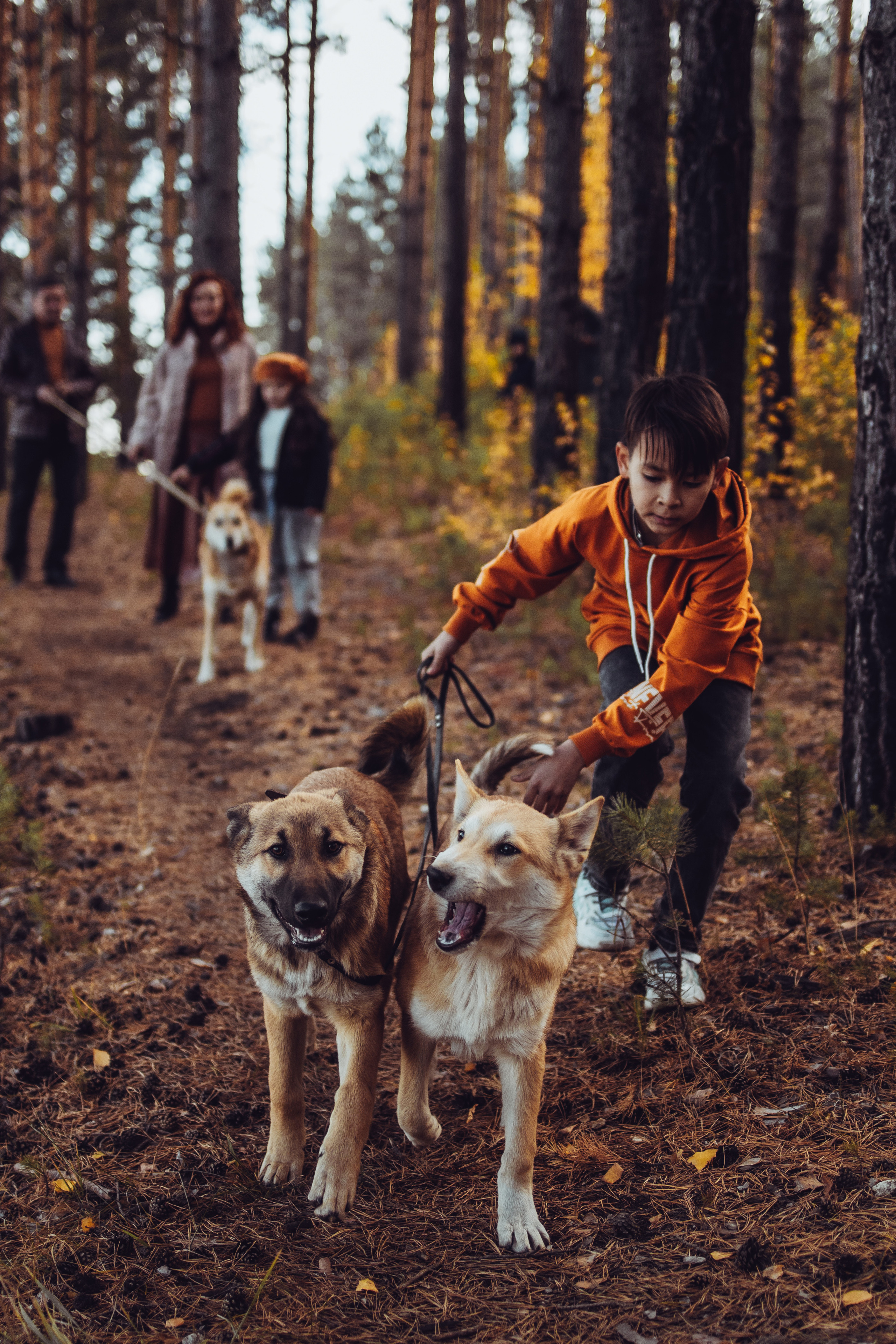 Осенняя семейная фотосессия. Фотограф Марсель Батыршин