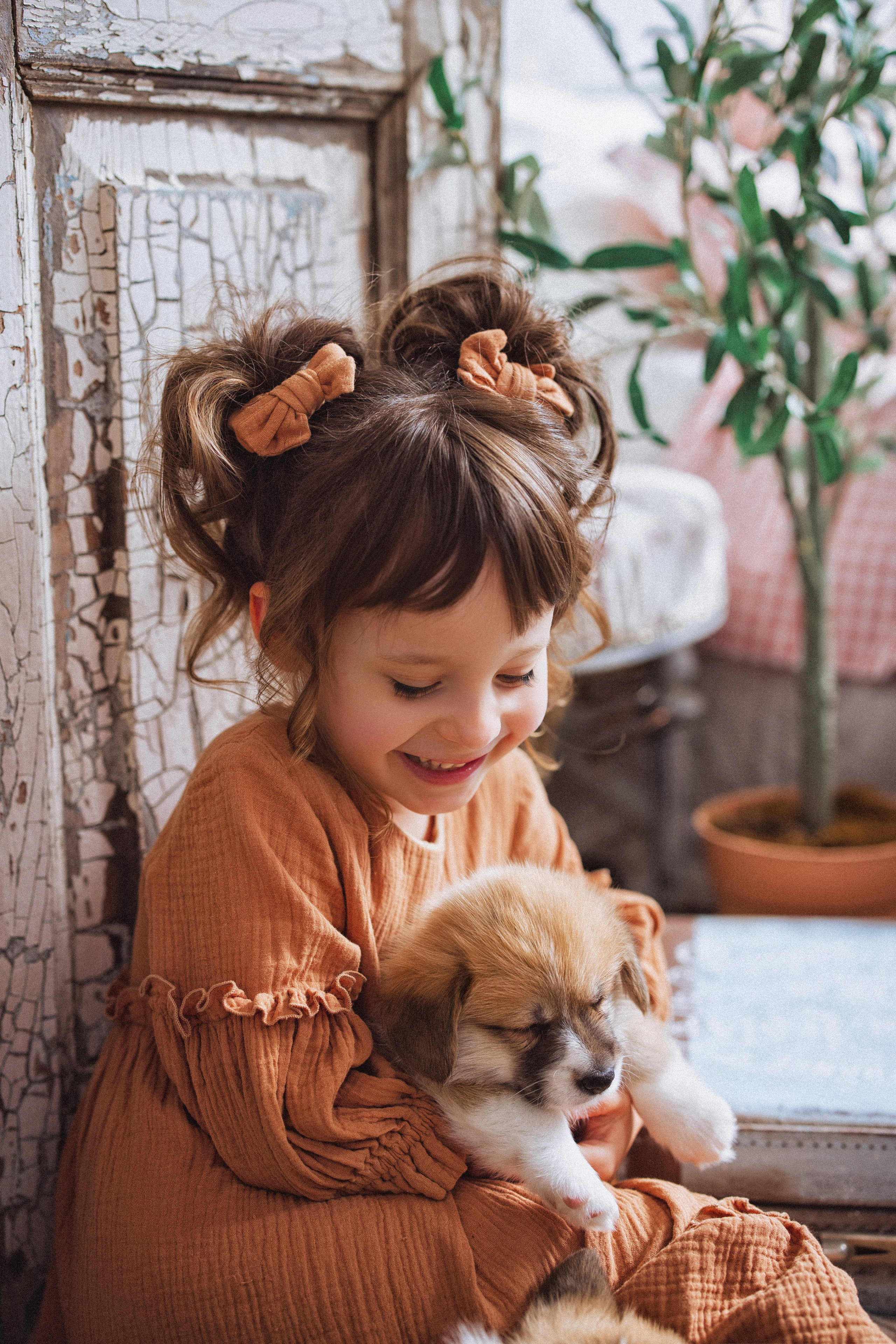 Фотосессия с щенками Корги, в фотостудии Ольги Сурухановой, город Краснодар. Семейный и детский фотограф в Краснодаре Анна Трашкова