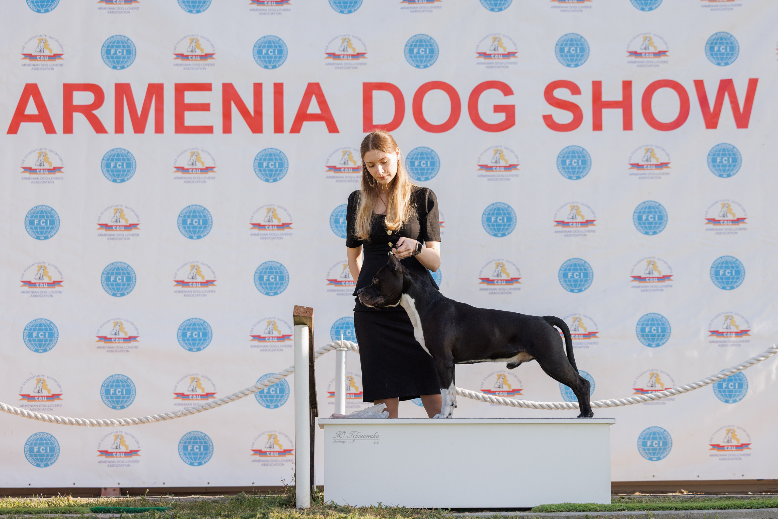 Ереван 14-16.10.2025. Фотограф-анималист Юлия Германика