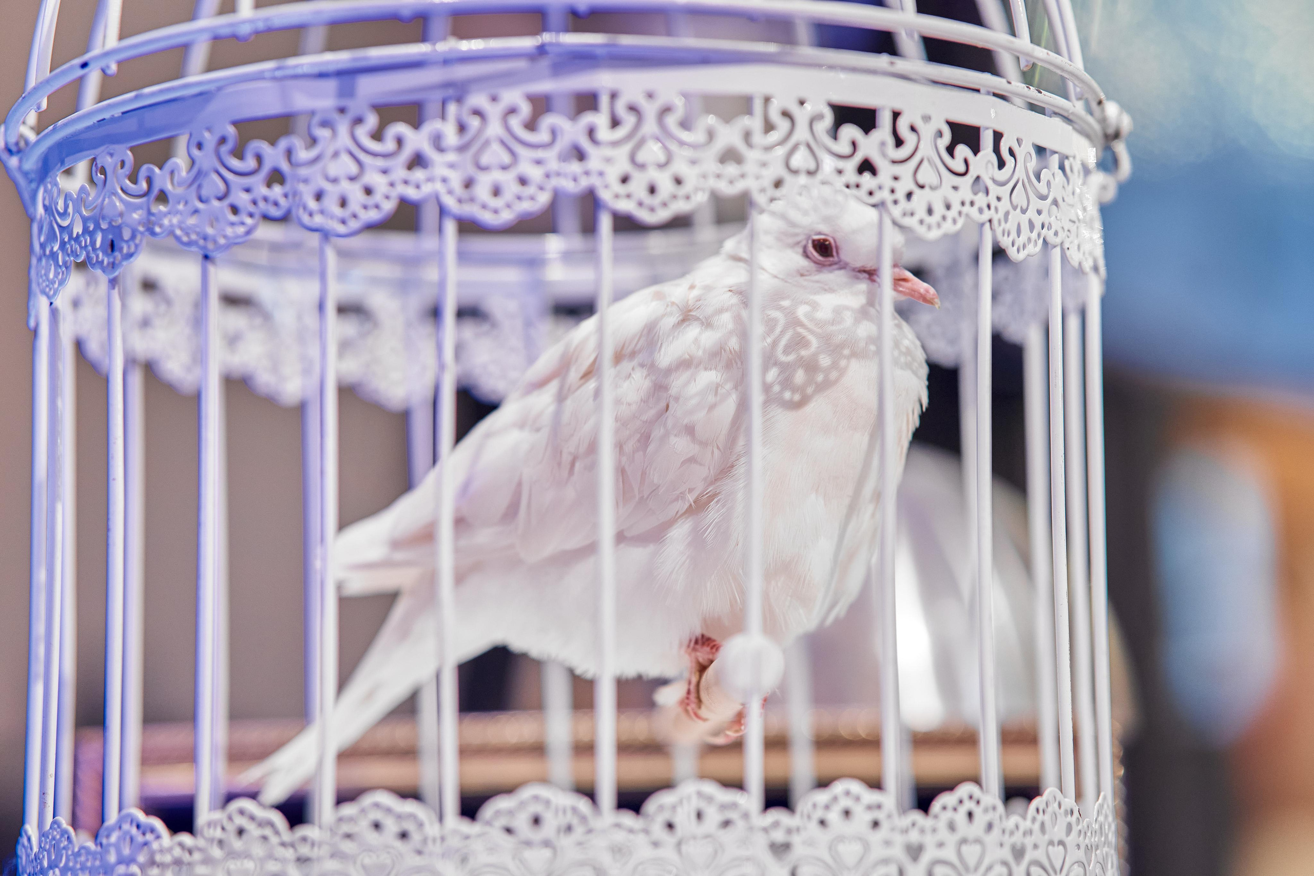 Екатеринбург (Мечты). Свадебный фотограф Наталья Помазкина | Репортаж Екатеринбург Москва