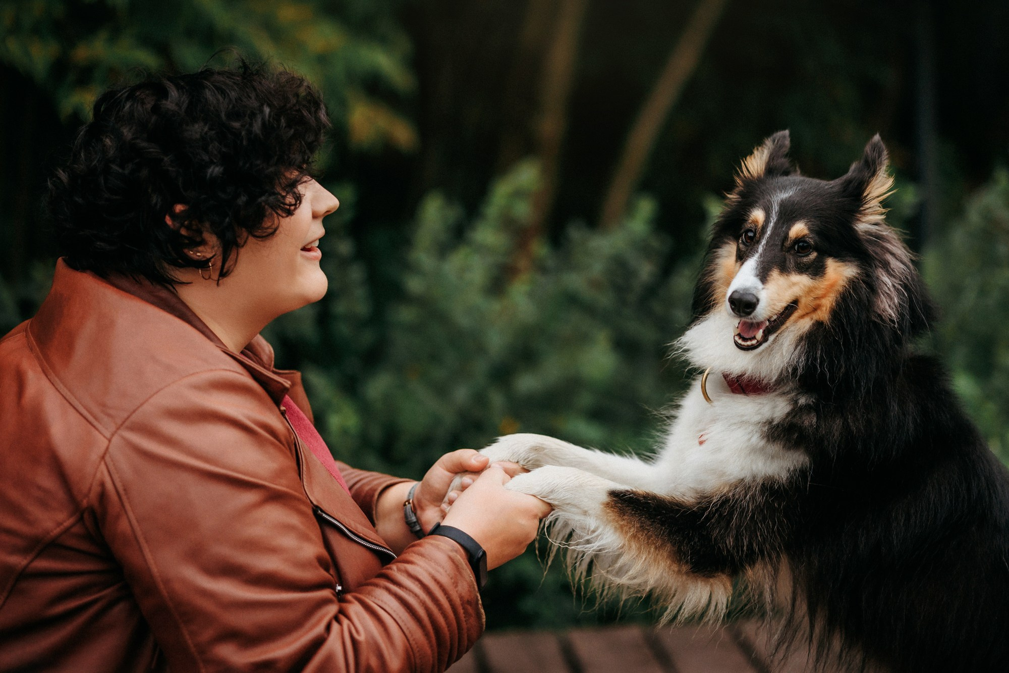 Федор, Саша и Груша. Фотограф-анималист Елена Радченко, Москва