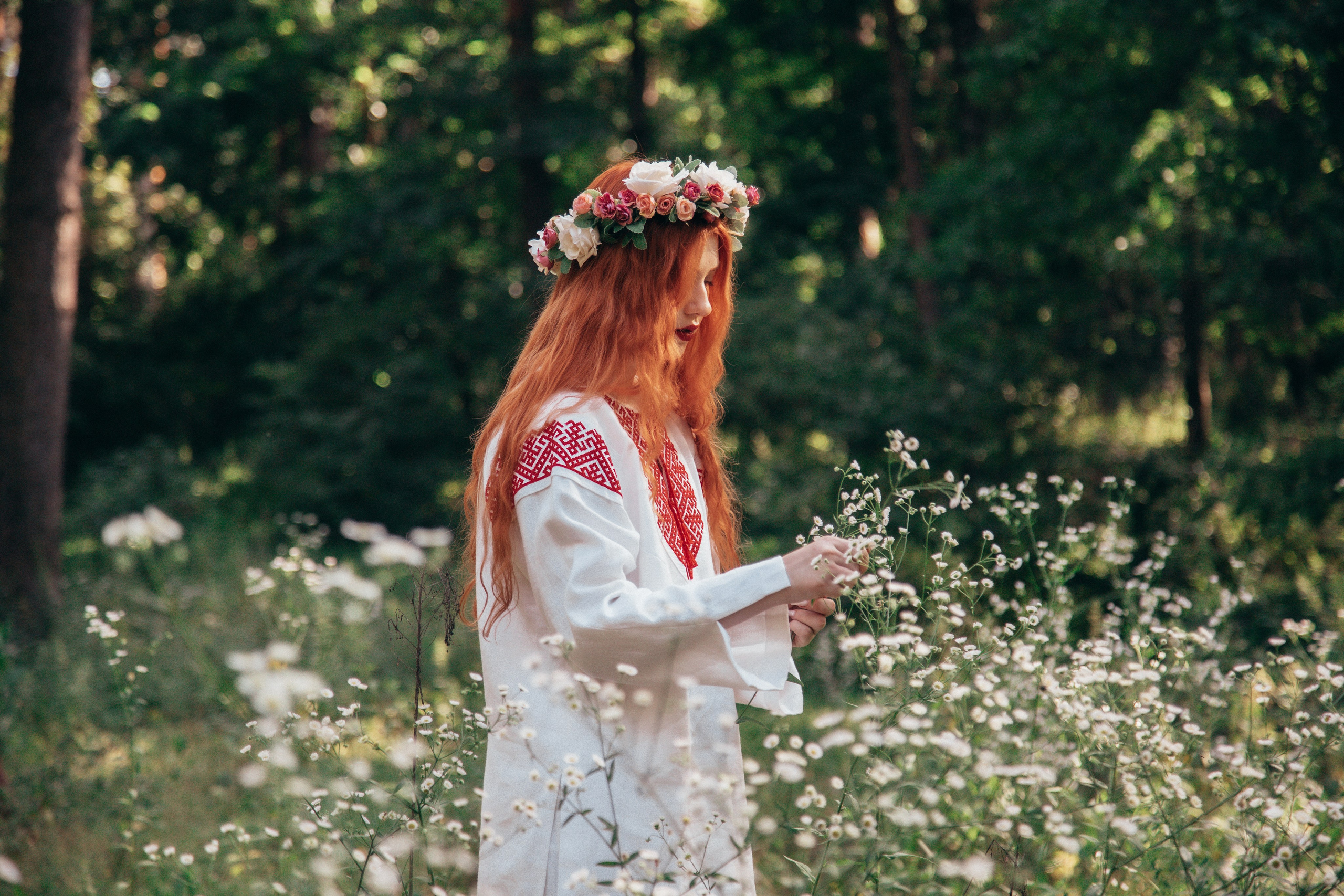Волшебный лес. Фотограф Михайлова Анастасия | Белгород