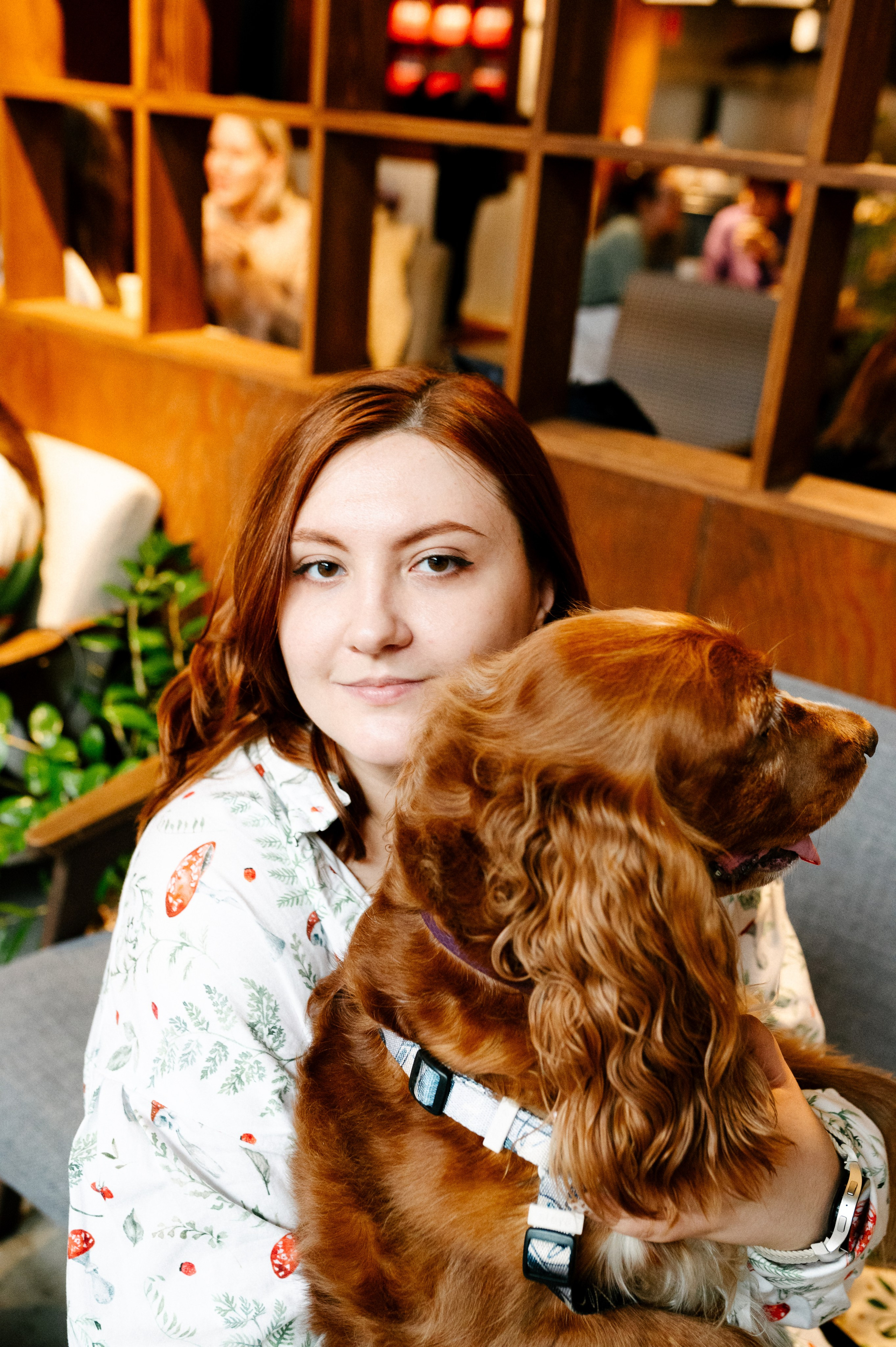 Рыжая команда. Фотограф анималист в Москве Ольга Агушева