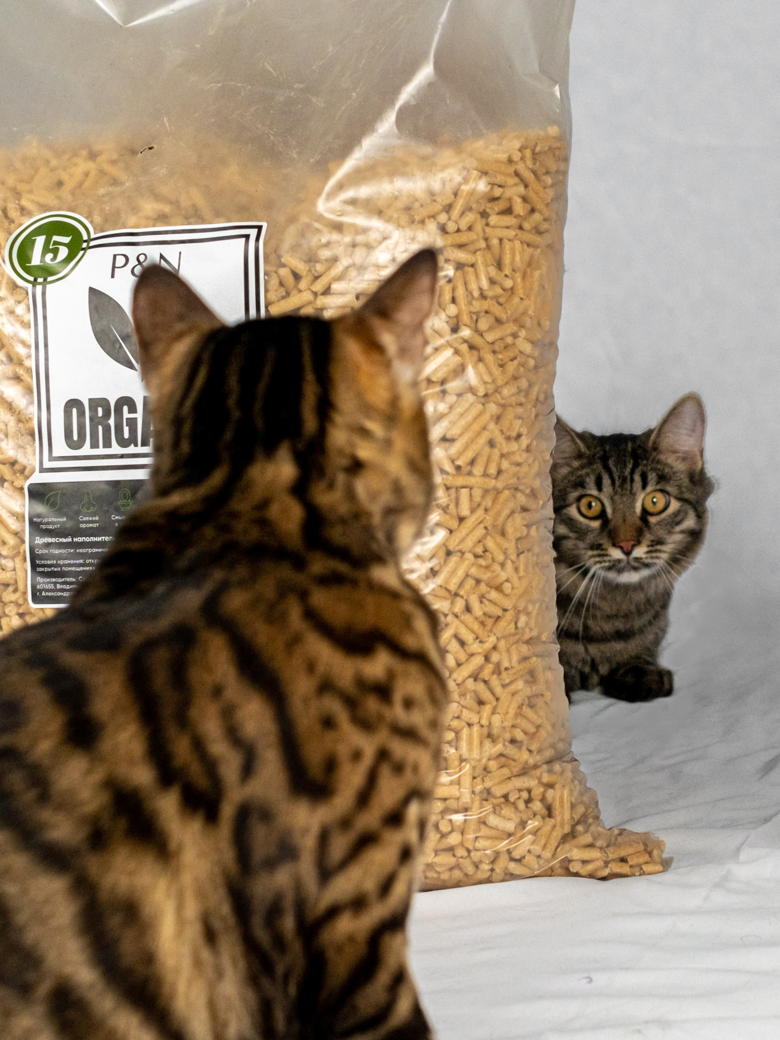 Древесный наполнитель для кошек, для Анастасии!. Зоофотограф, фотограф животных в Москве и области Дина Дамоцева