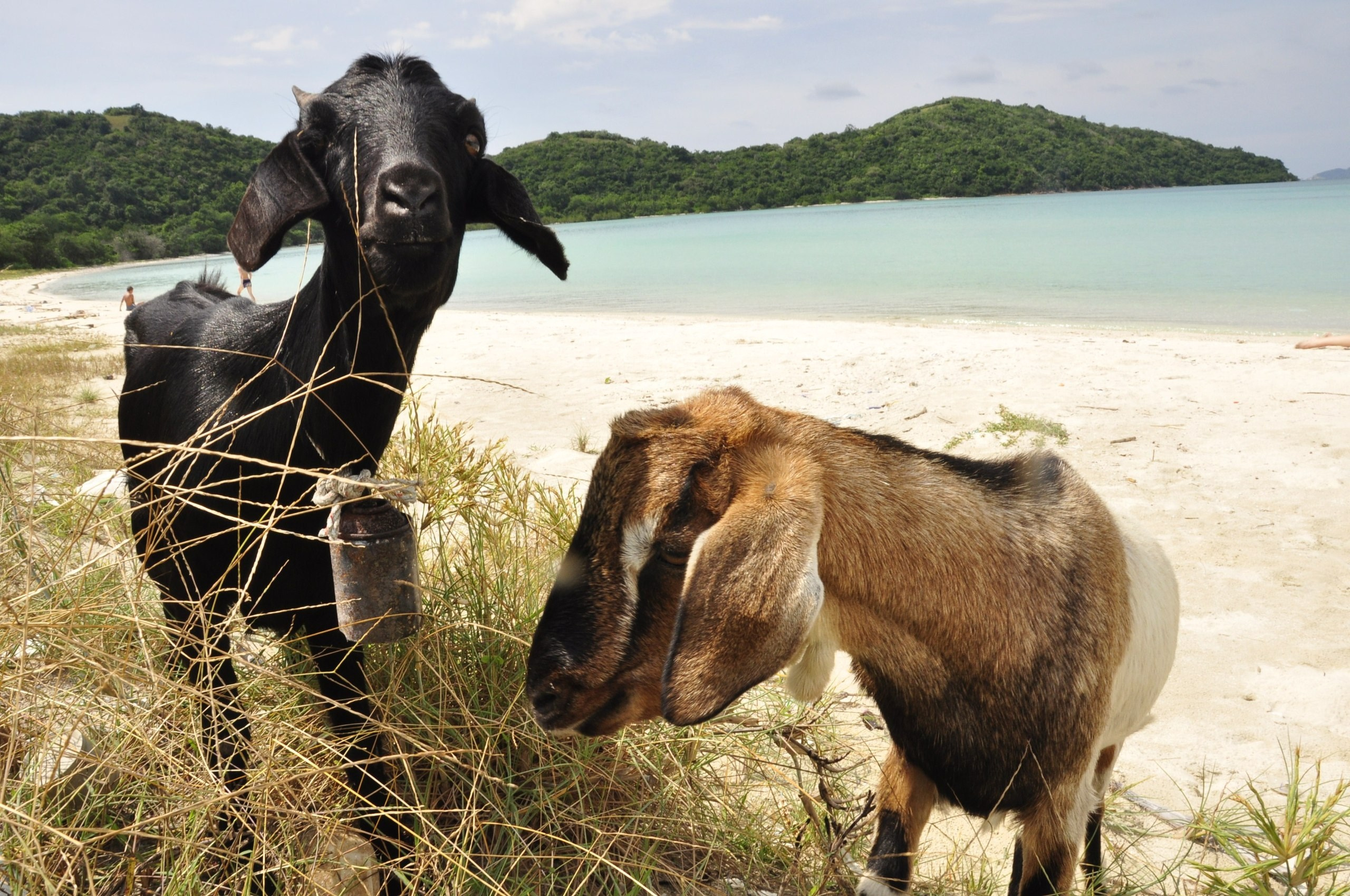 Travel. Макарцова Валерия — фотограф Санкт-Петербург, Москва