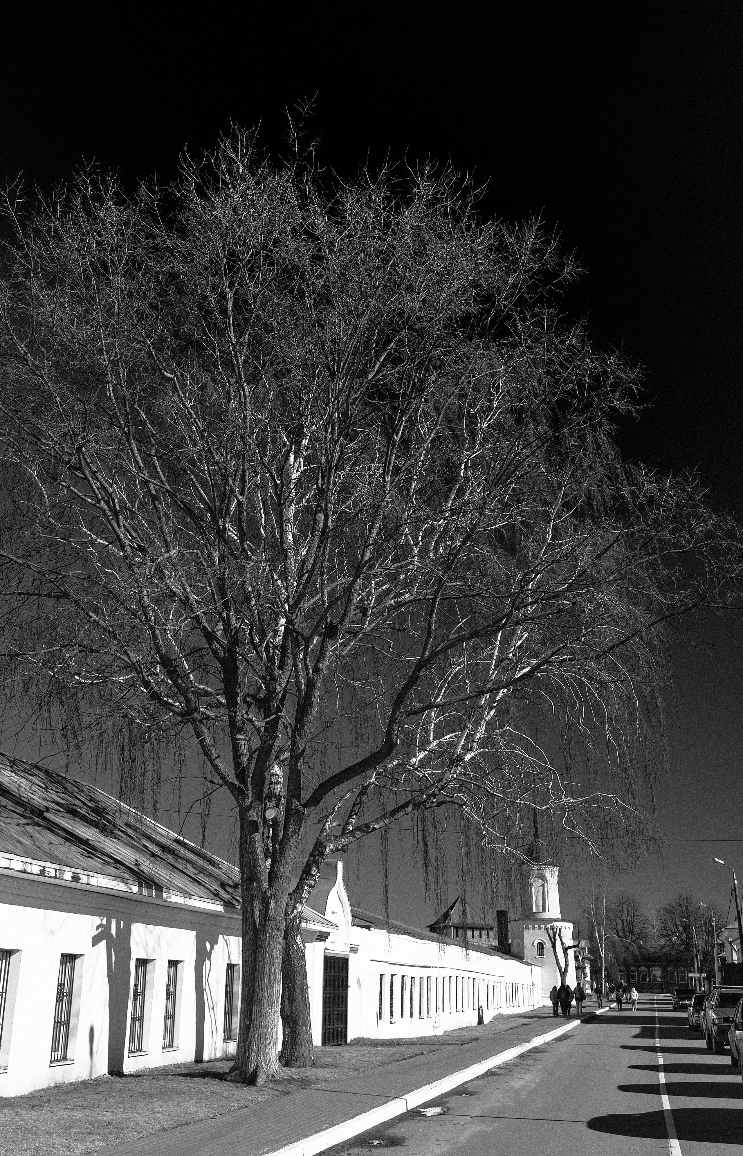 Kolomna / march 2025. Aleksandr Kobtsev