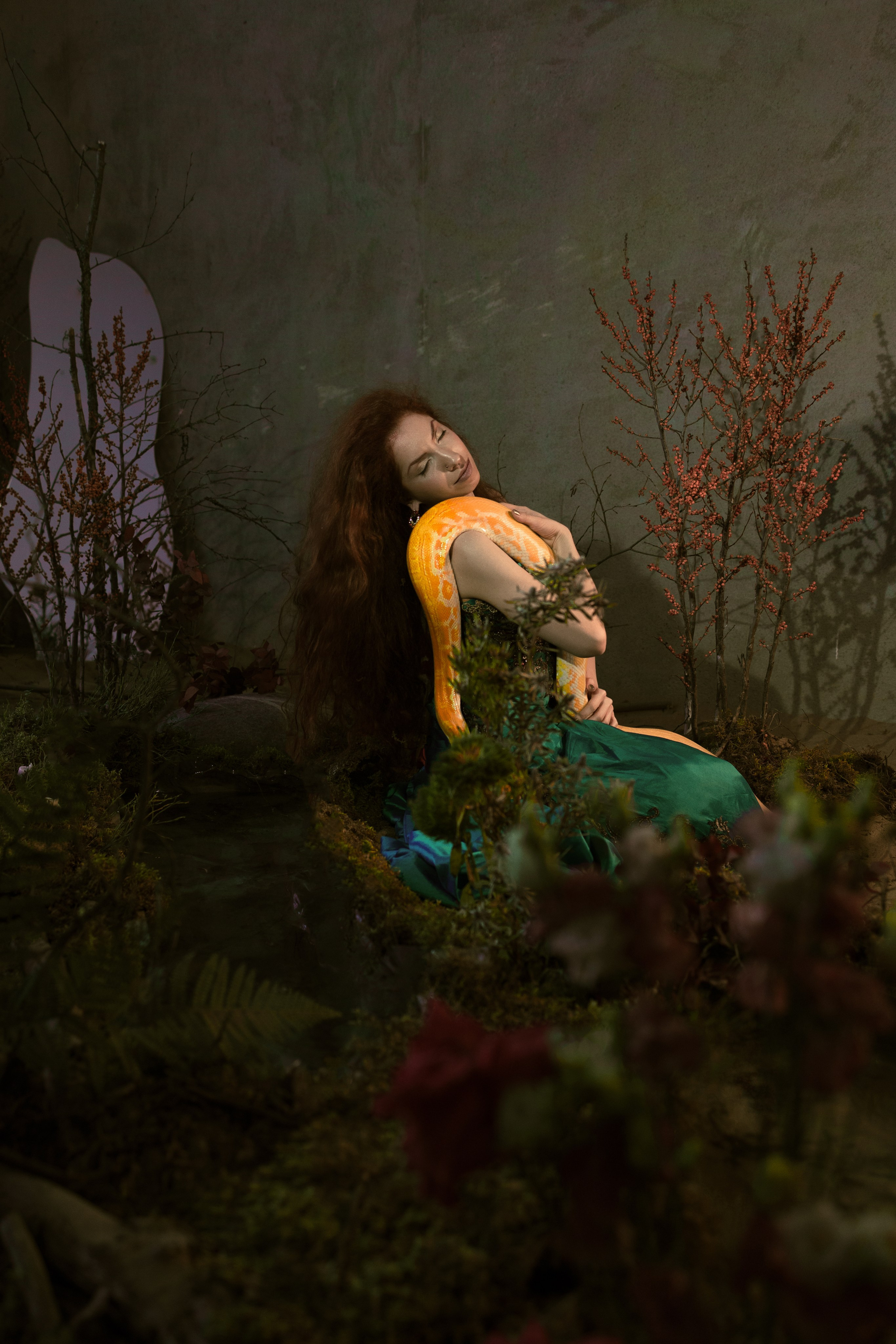 Спящая красавица