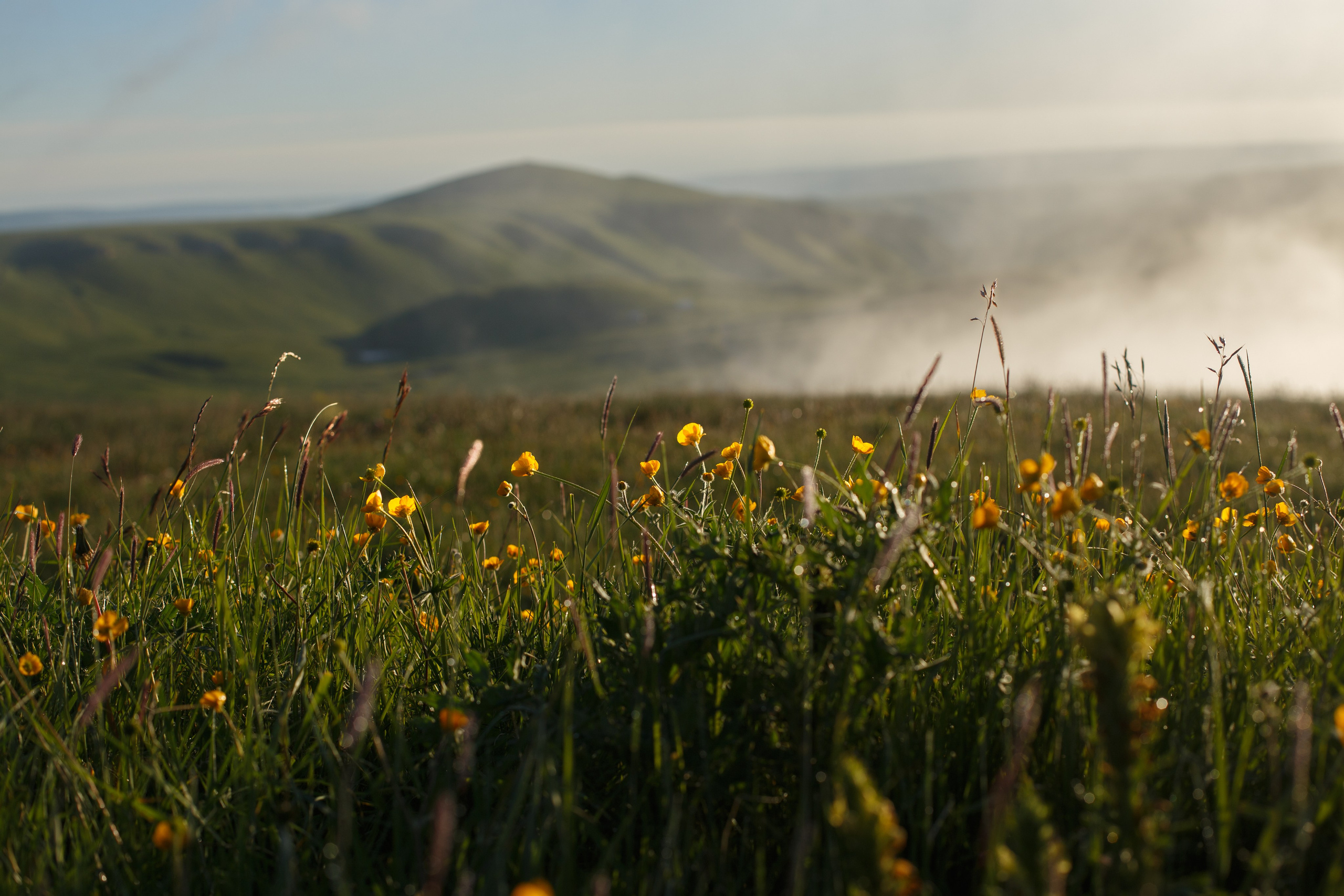 Фотосессия в горах Кавказа. Фотограф Ставрополь Пятигорск Елизавета Дарина
