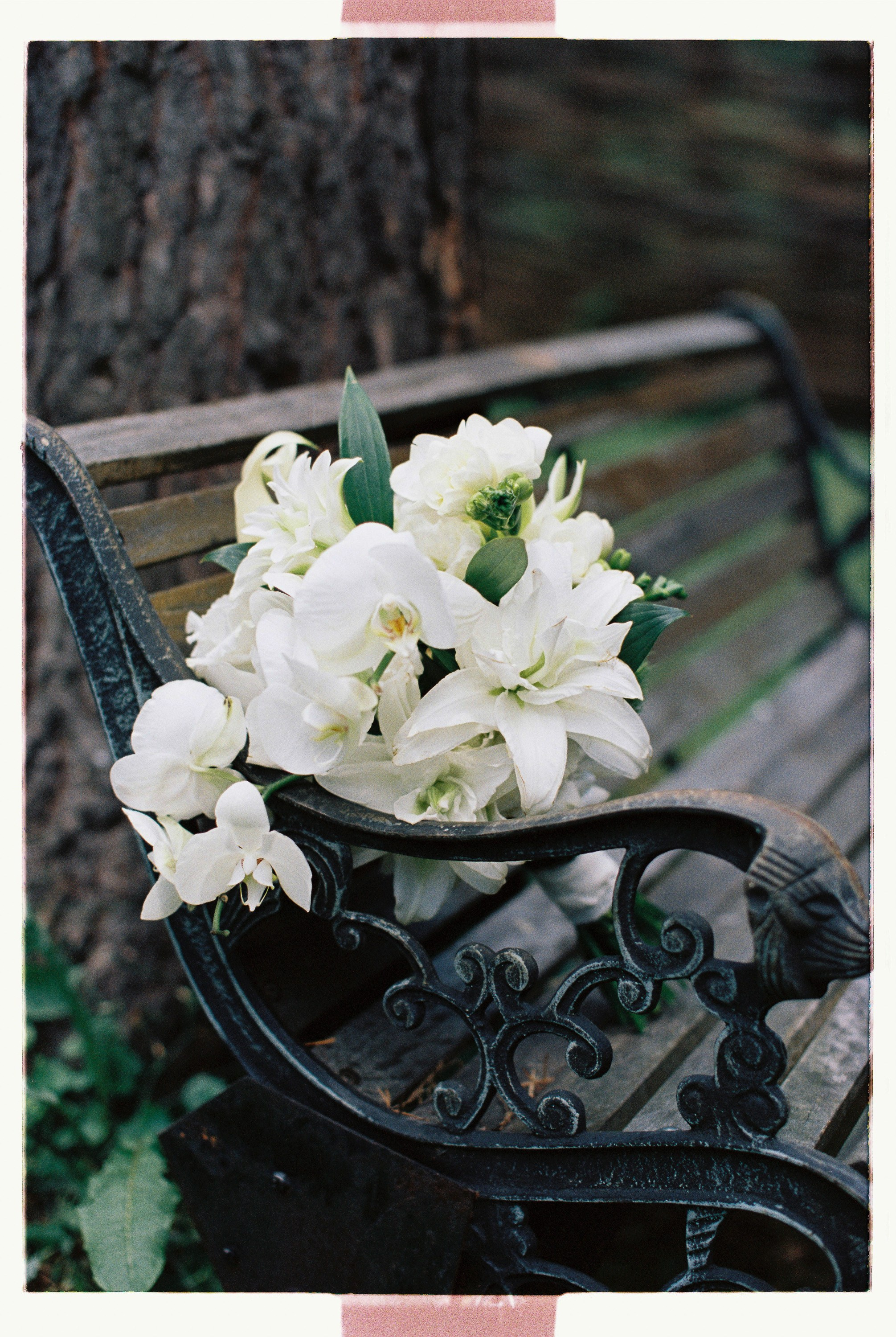 BALI VIBE. Главная