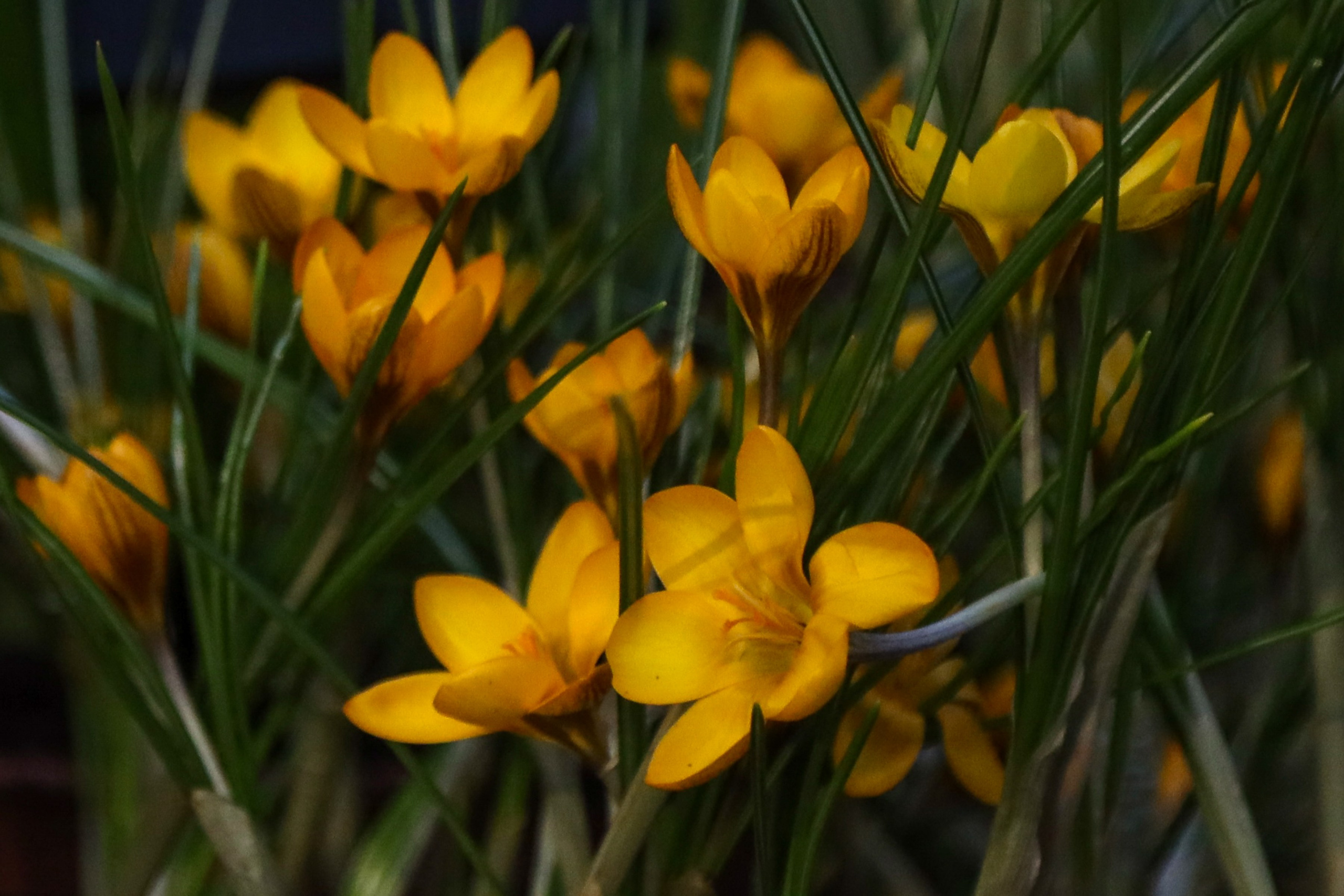 Фотографии с выставки Репетиция весны. Фотосессии и репортаж — Фотограф в Москве — Рина Серёгина