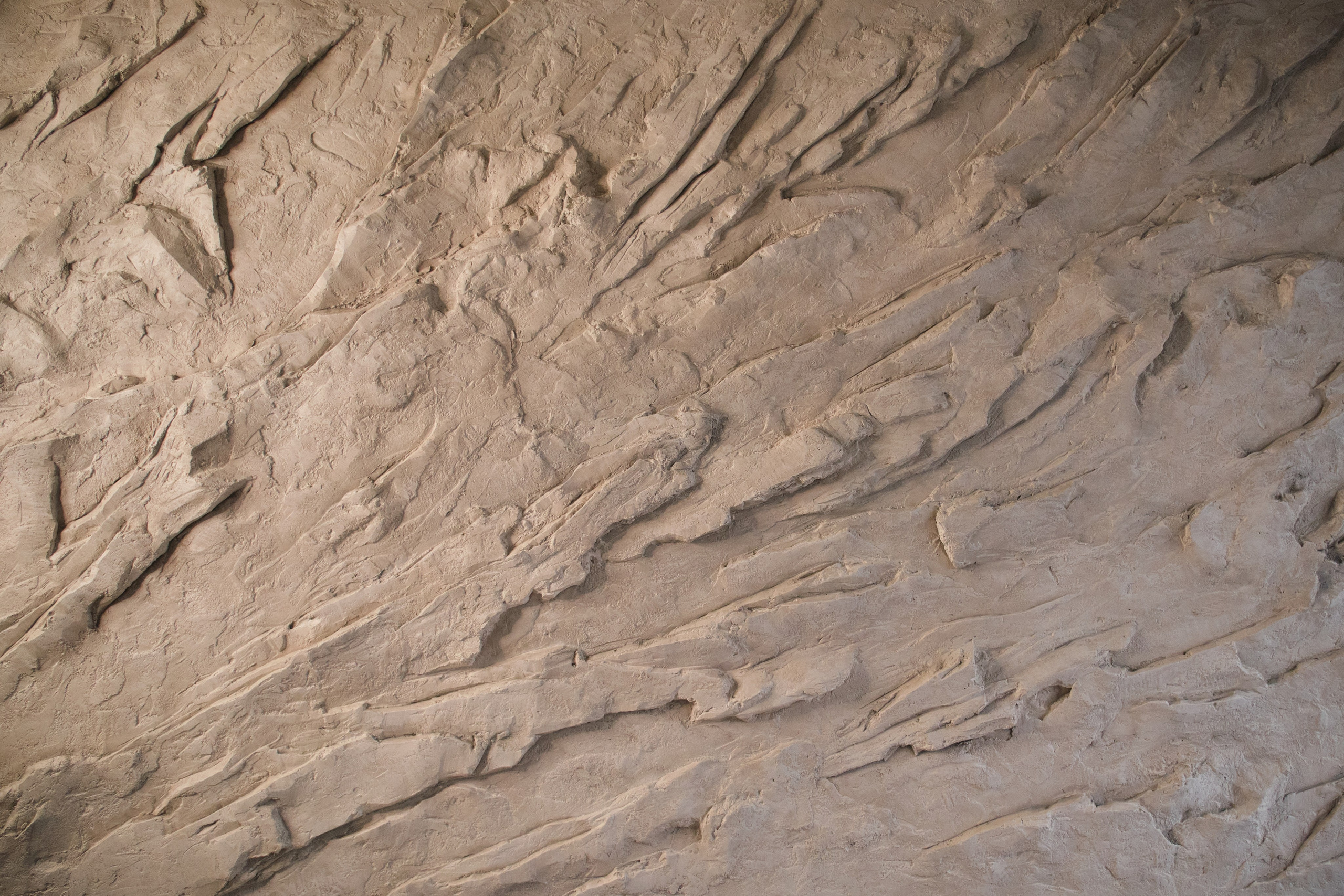 Отзывы. Репортажный фотограф Дмитрий Литвинский. Минск, Беларусь, мир