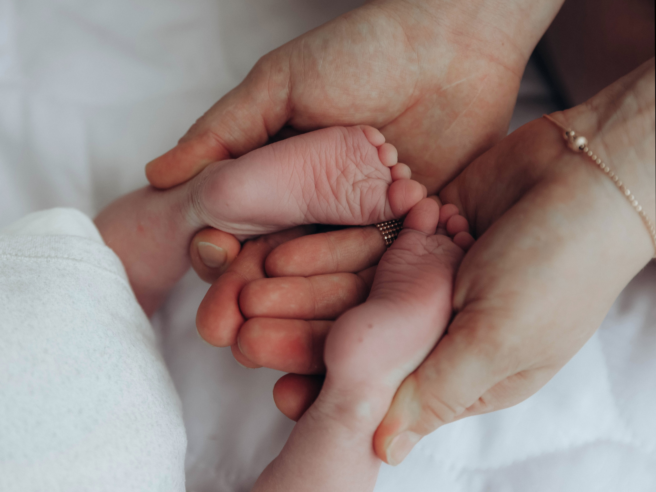 Любовь и котики. Мультифотограф Динара Ахмедзянова