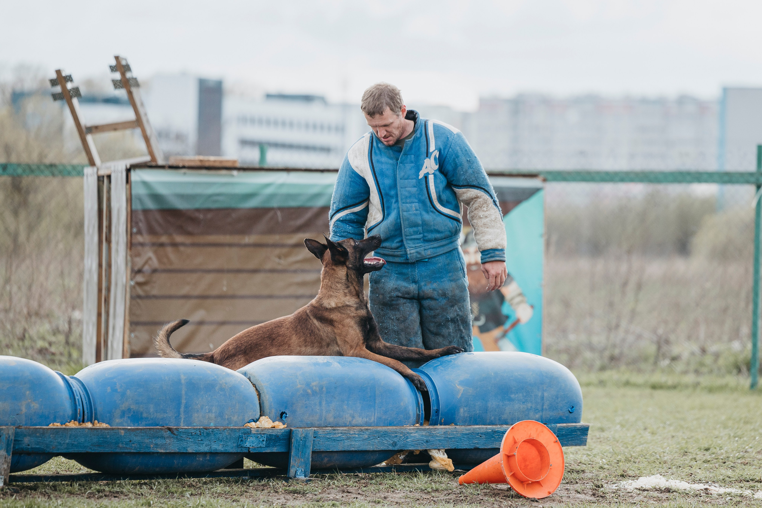09.05.25 Вологда соревнования. Фотограф-анималист Анна Маринич