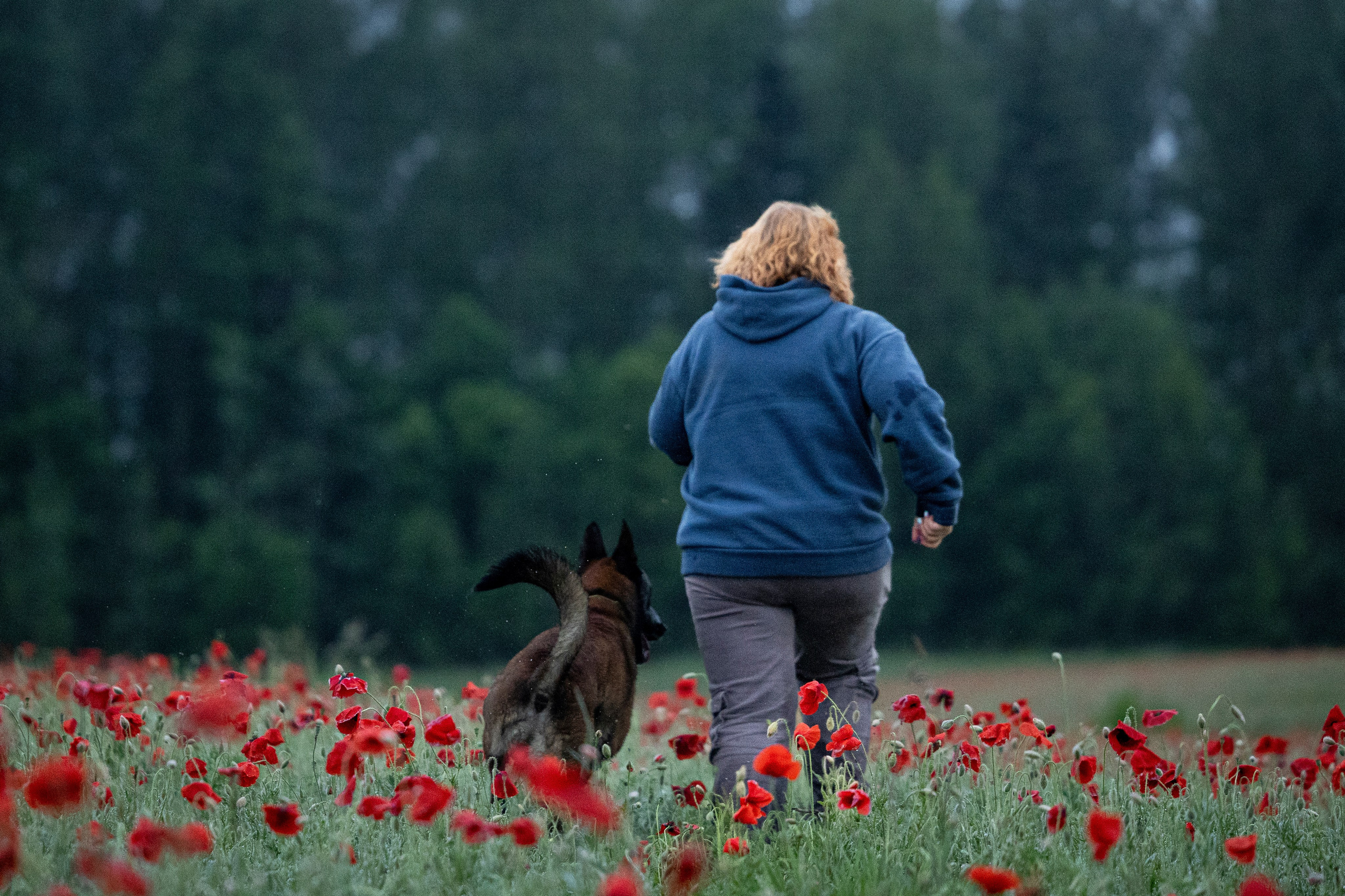 Маковое поле. Фотограф-анималист Анна Маринич