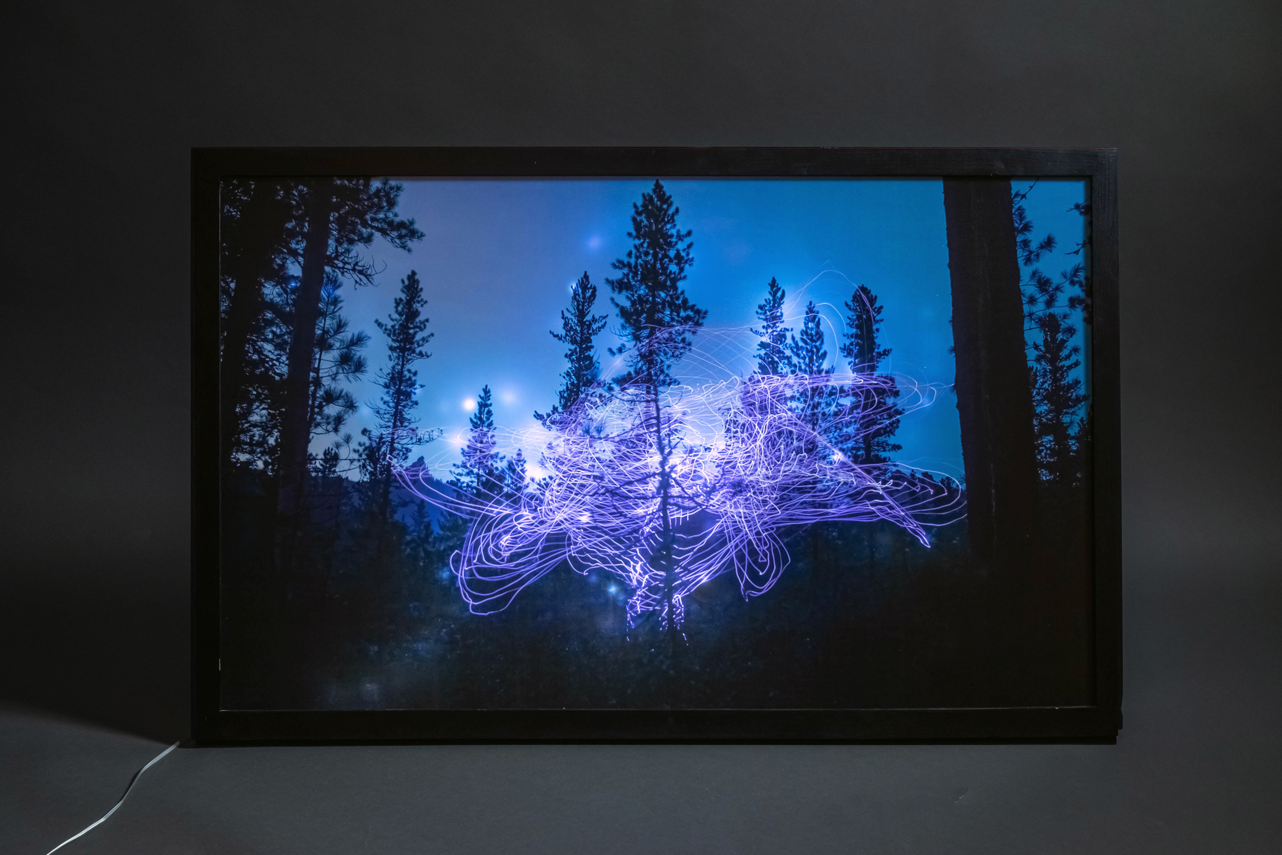 Лайтбокс 1. Elina Gusarova