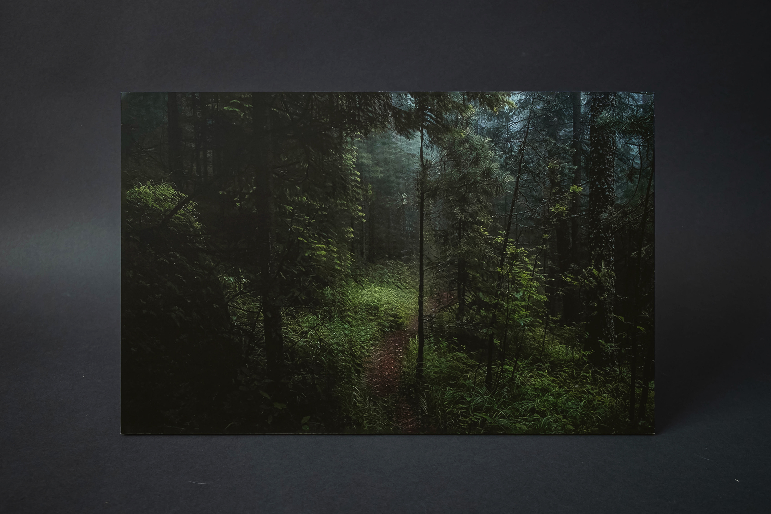 Сбой. Элина Гусарова