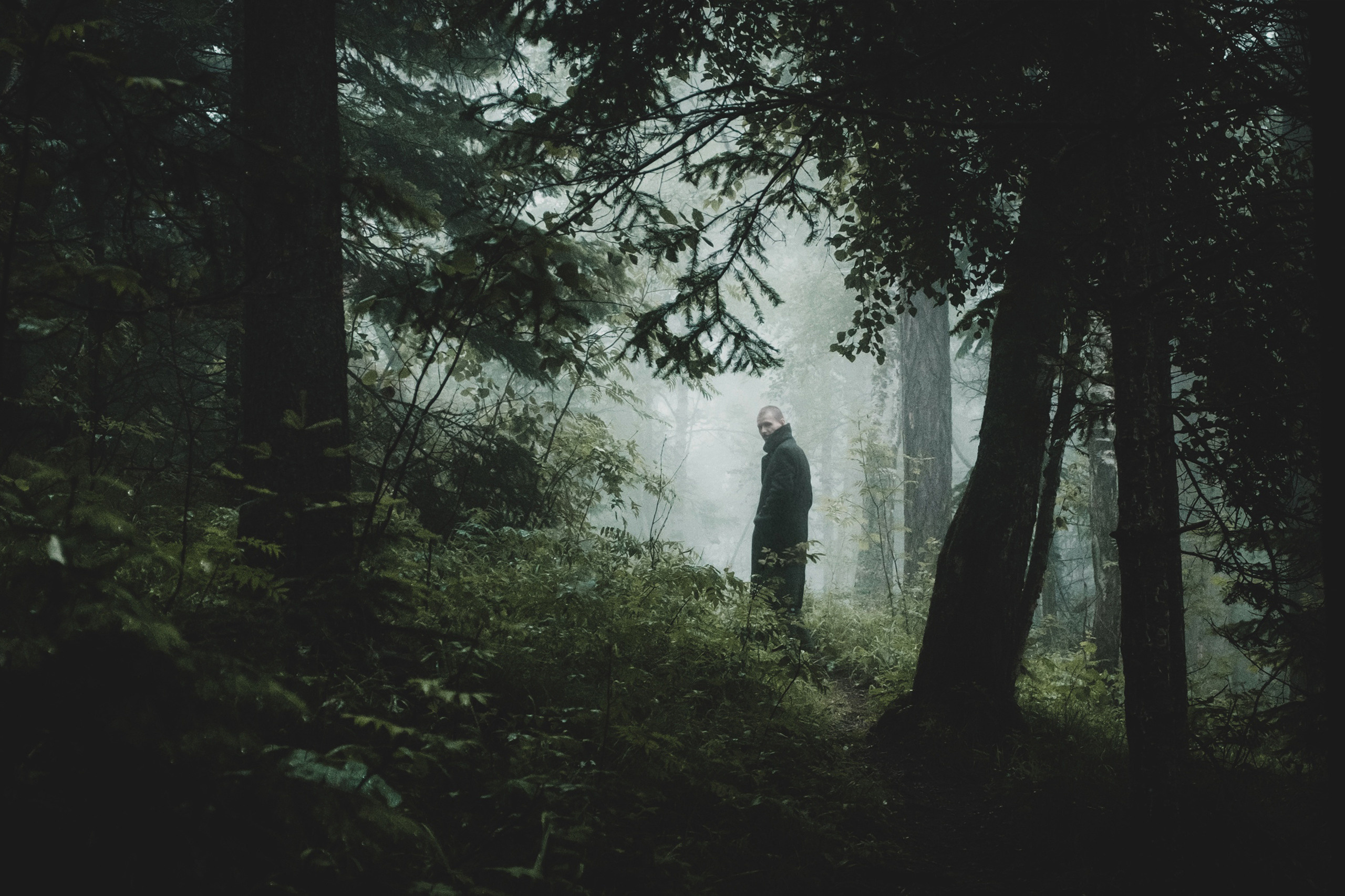 Идти крадучись. Элина Гусарова