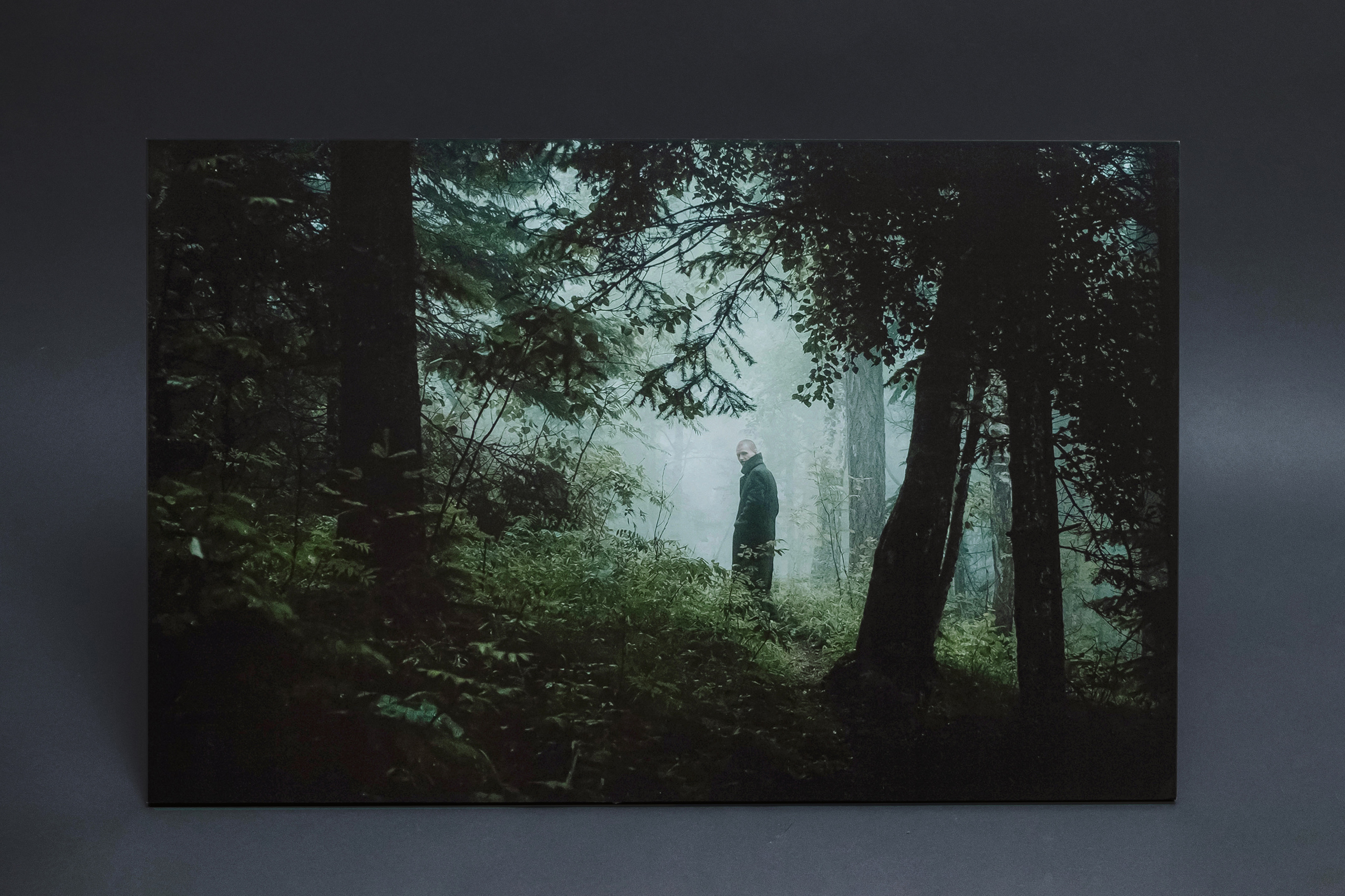 Идти крадучись. Элина Гусарова