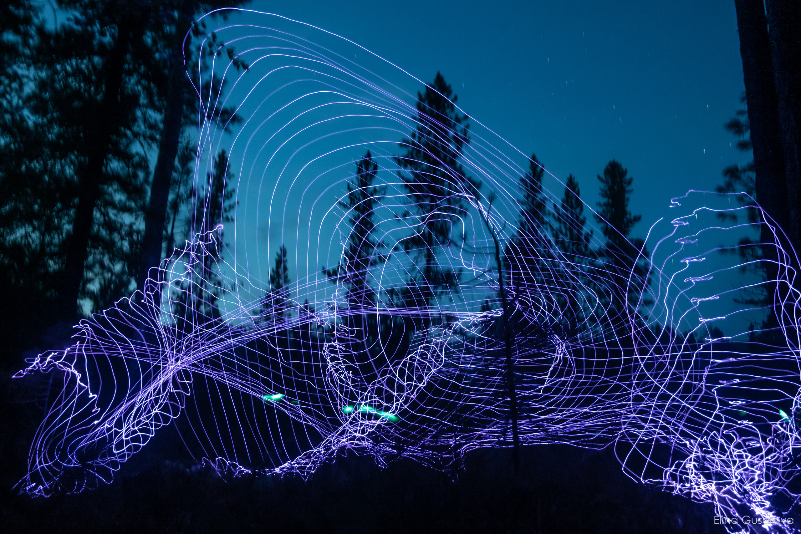 Элина Гусарова