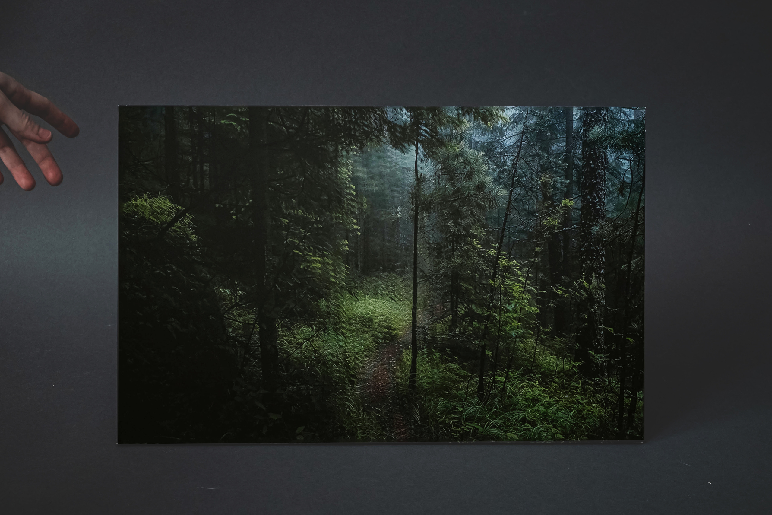 Сбой. Элина Гусарова