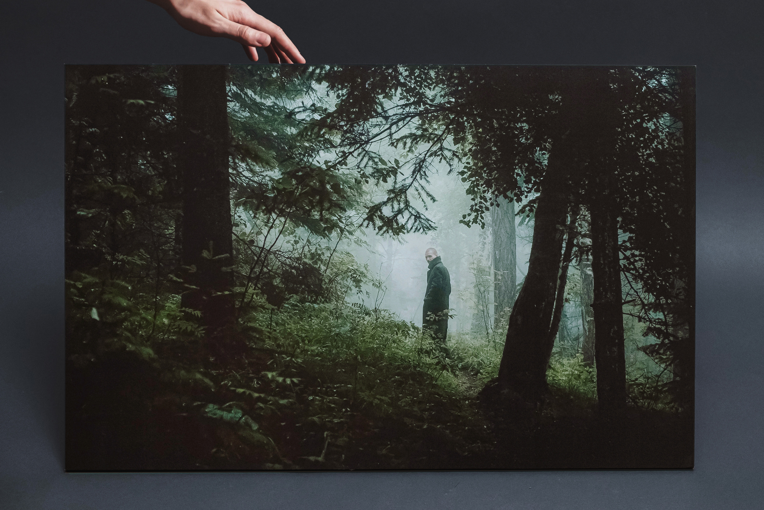 Идти крадучись. Элина Гусарова