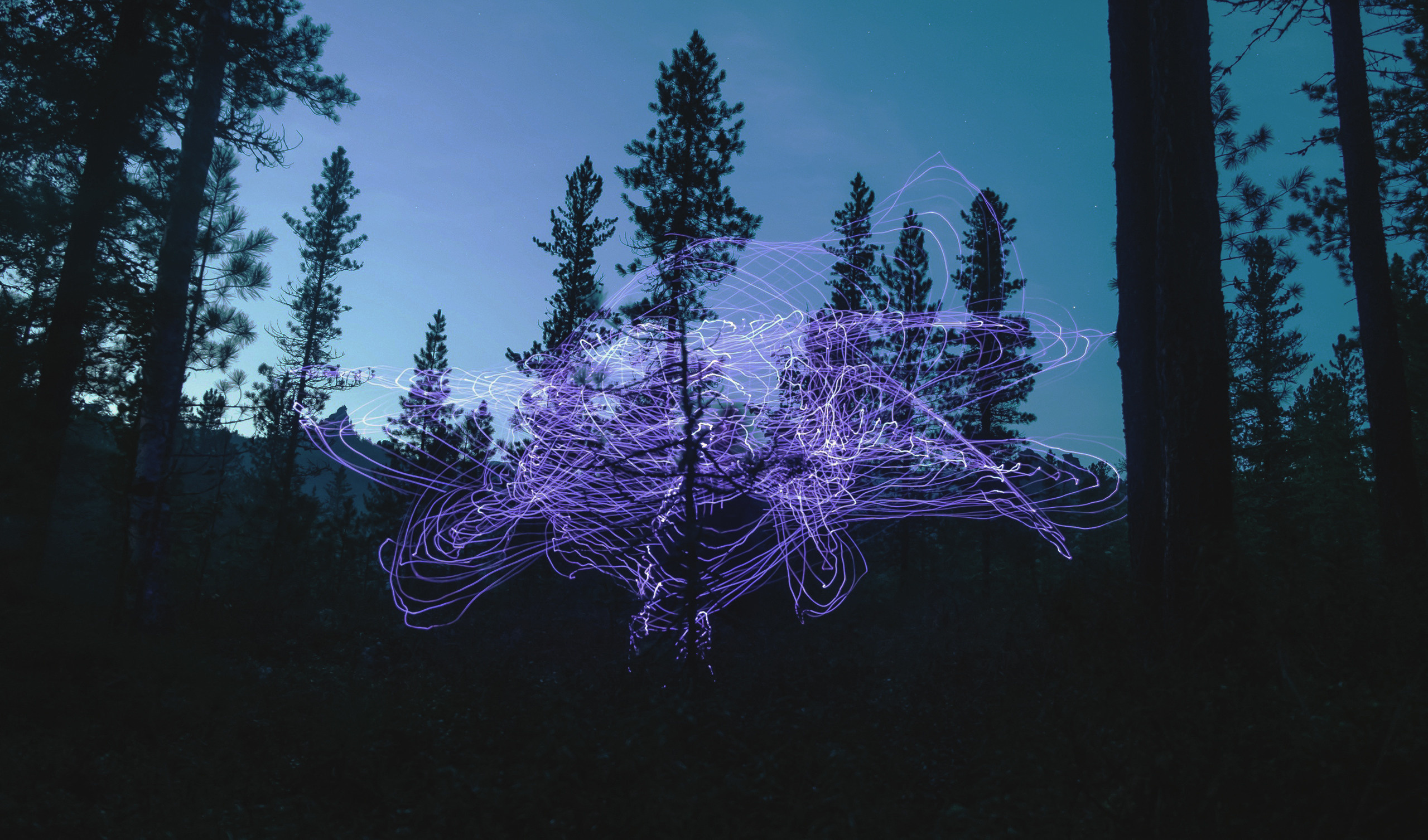 Лайтбокс 1. Elina Gusarova