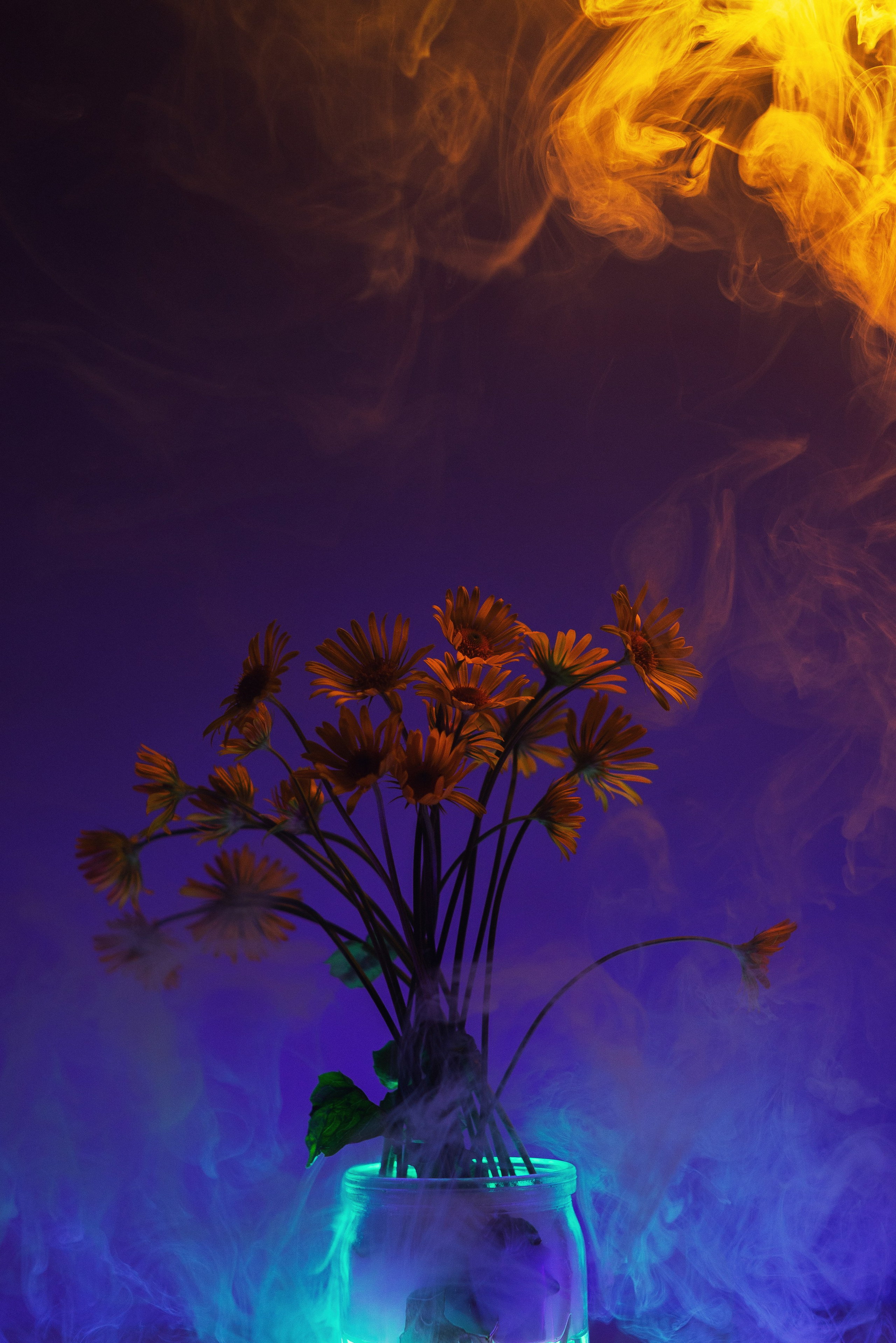 цветочный натюрморт в тёплых тонах с дым машиной