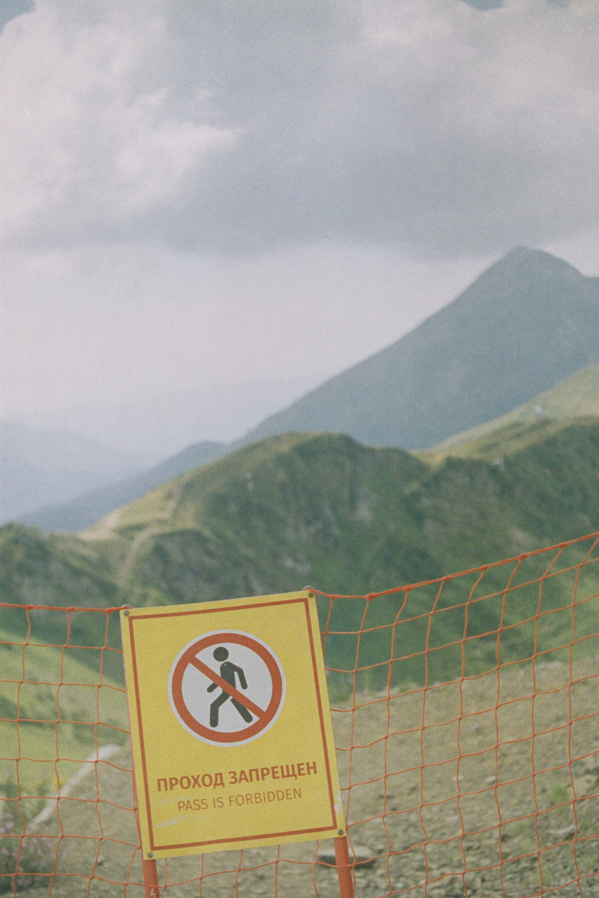 Sochi \ august 2022 \ film 35. Коммерческий Фотограф Виктор Фоменых