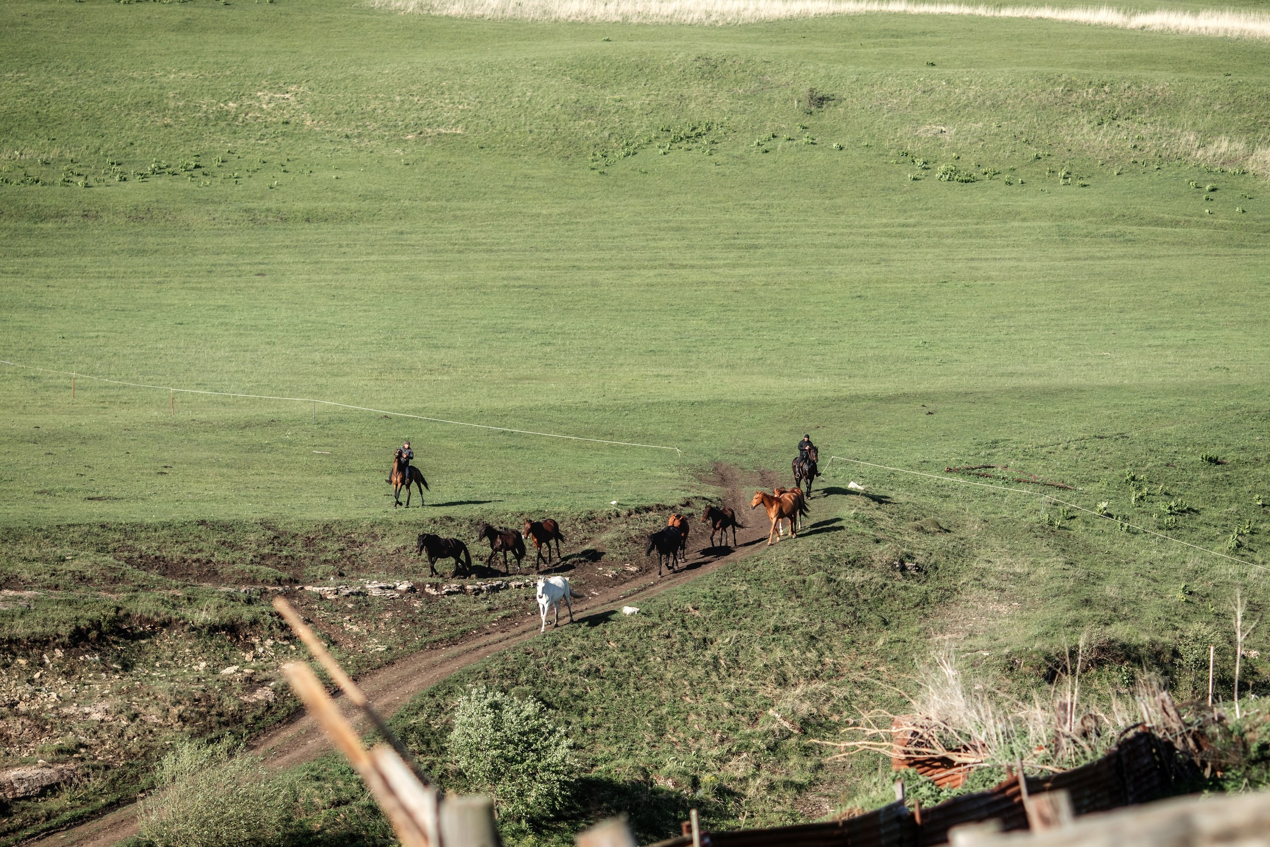 КЧР май'24. BrisArts