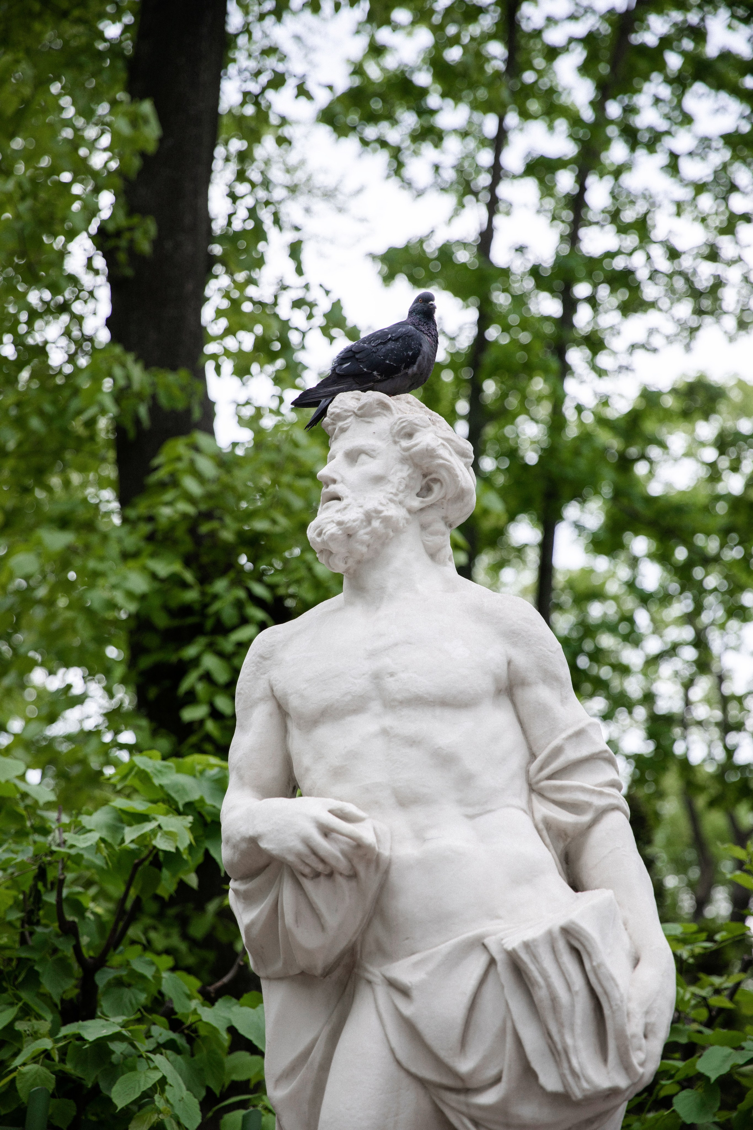 Настя и Данил. Свадебный и портретный фотограф