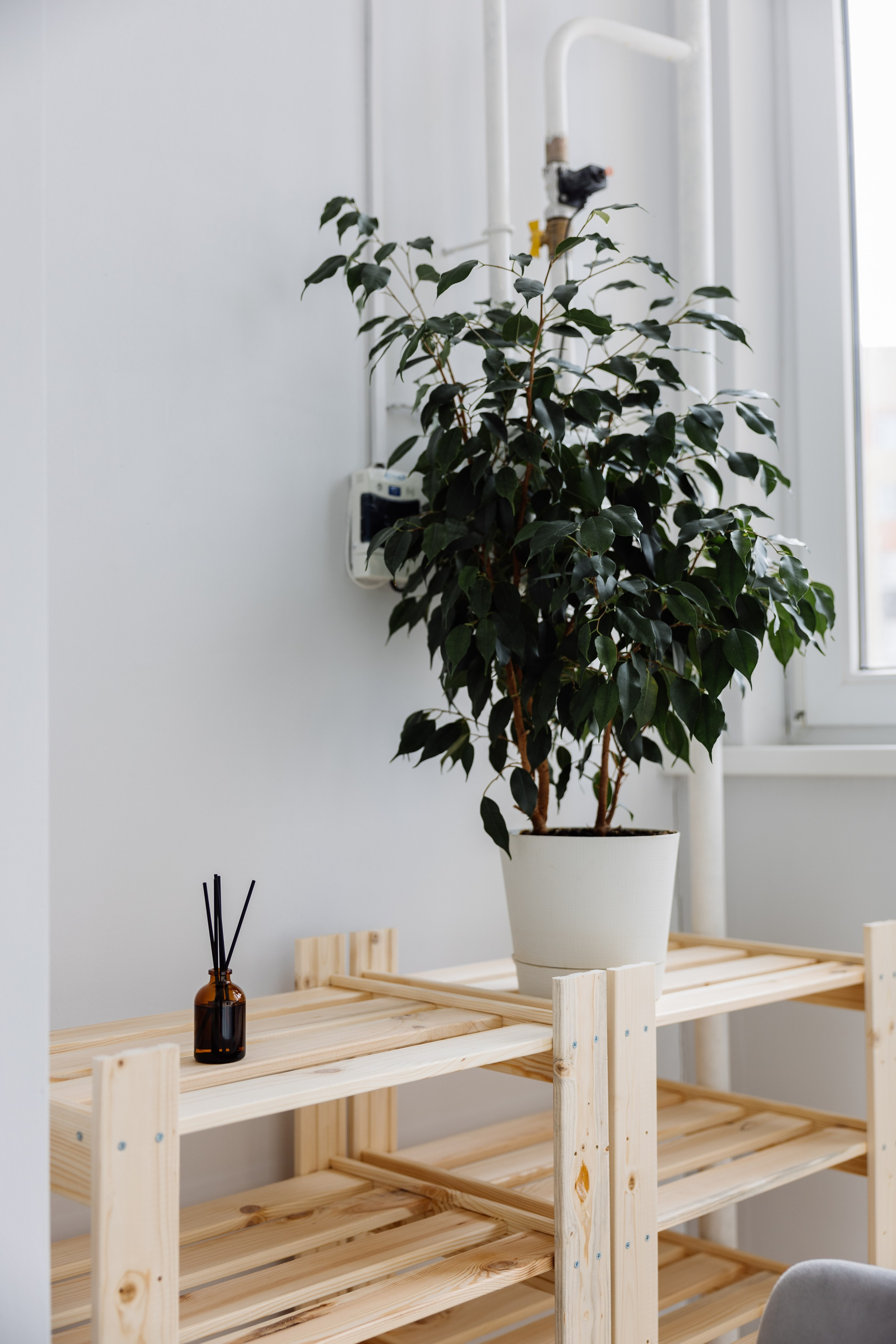 Недвижимость. Майорова Валерия Фотограф Ставрополь