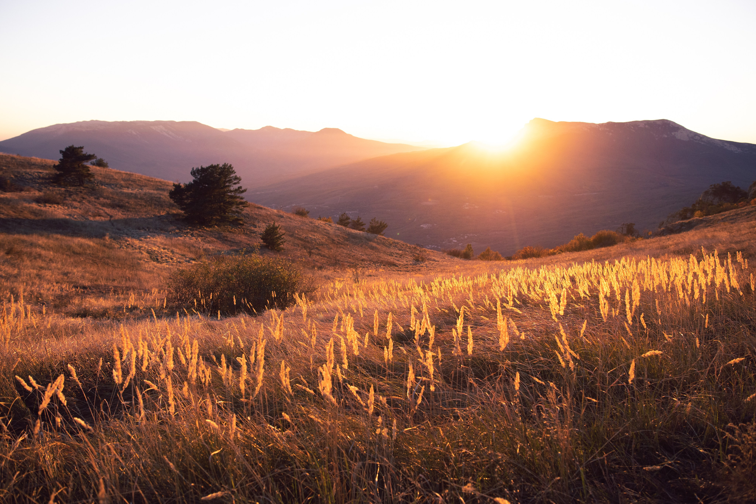 Nature. Артем Корнев Фотограф